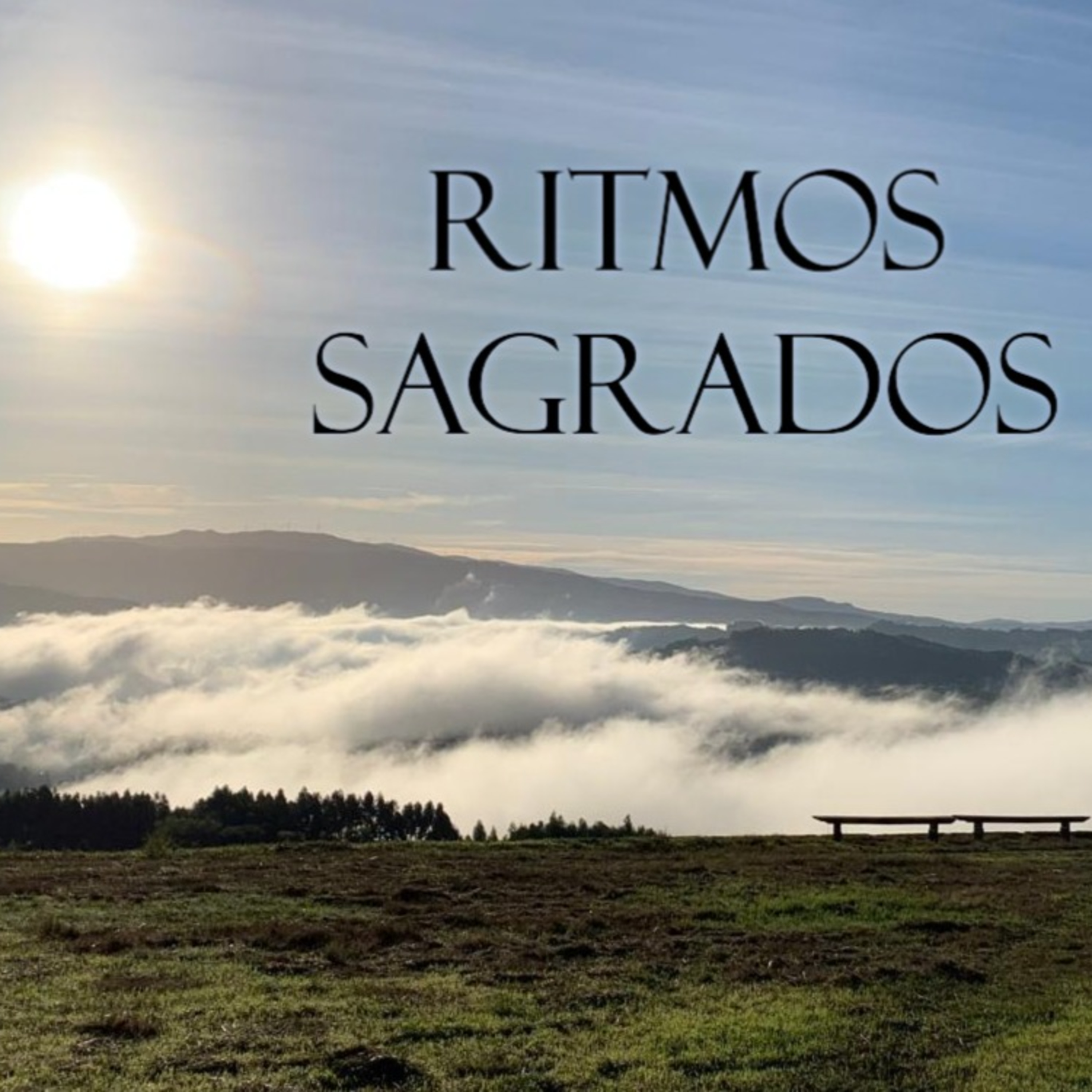 Lectio Divina do Evangelho de João 6:32-35 e 38-40