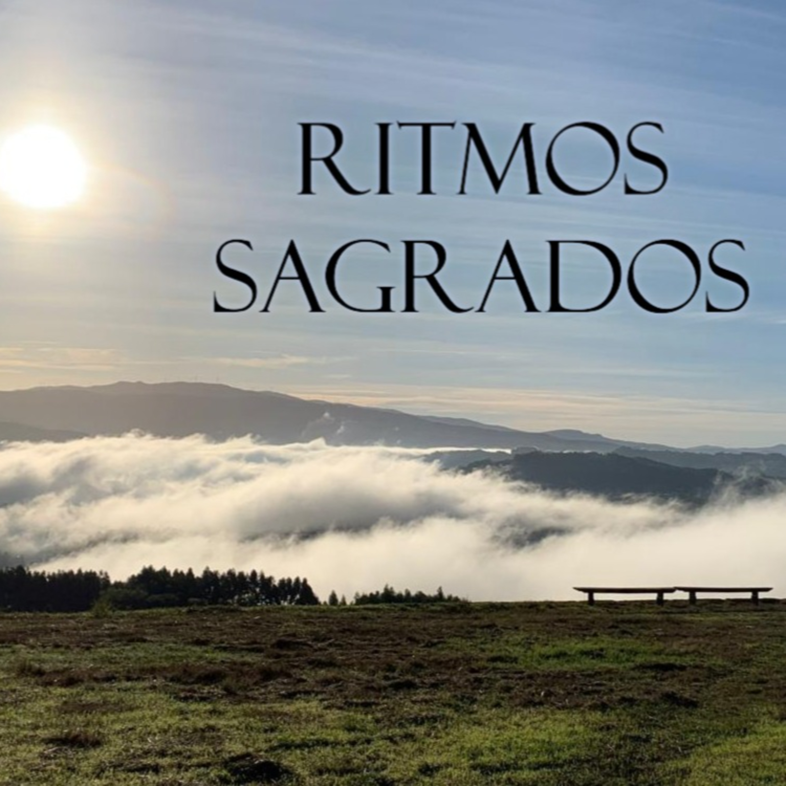 Lectio Divina do Evangelho de João 12:1-8