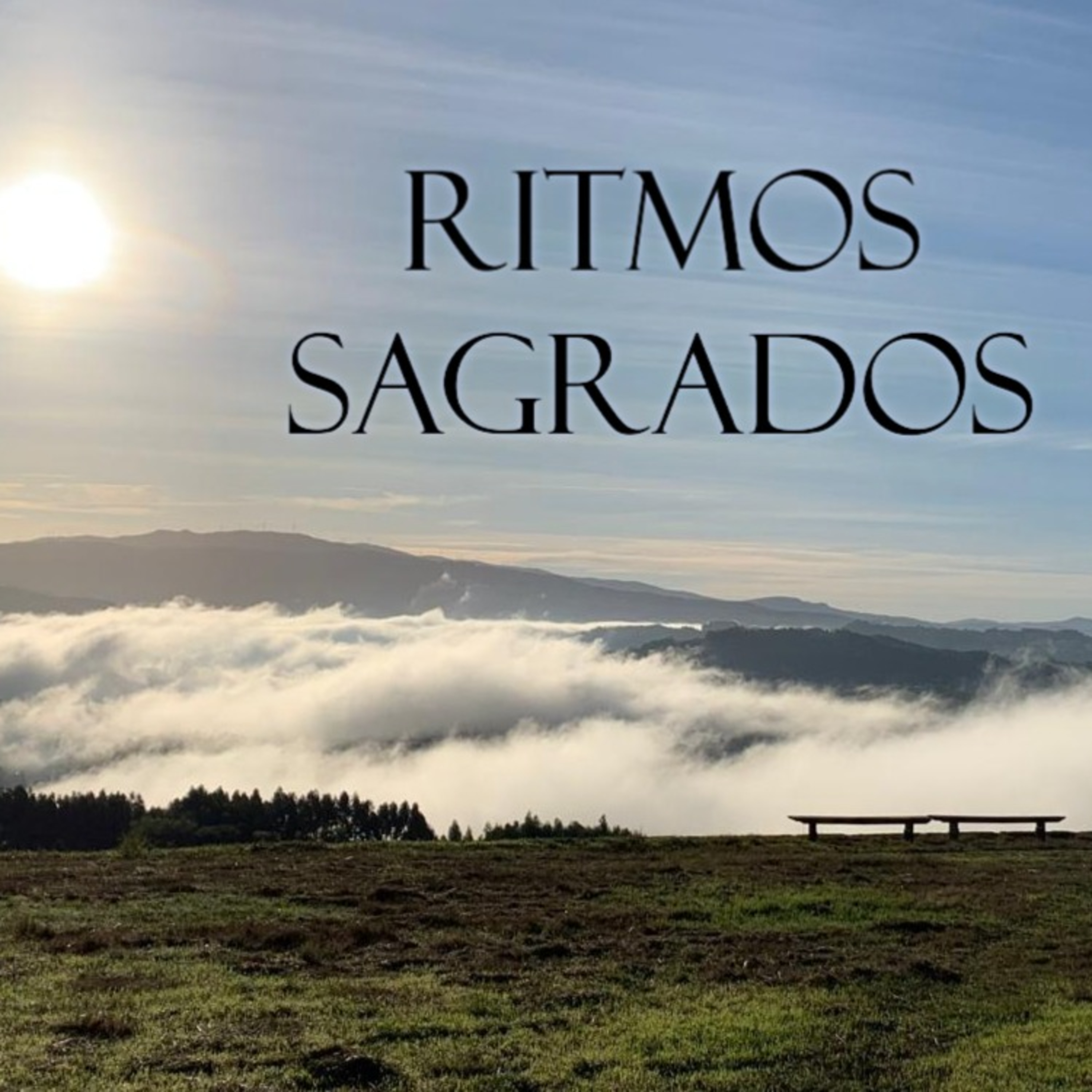 Lectio Divina do Evangelho de João 15:12-17