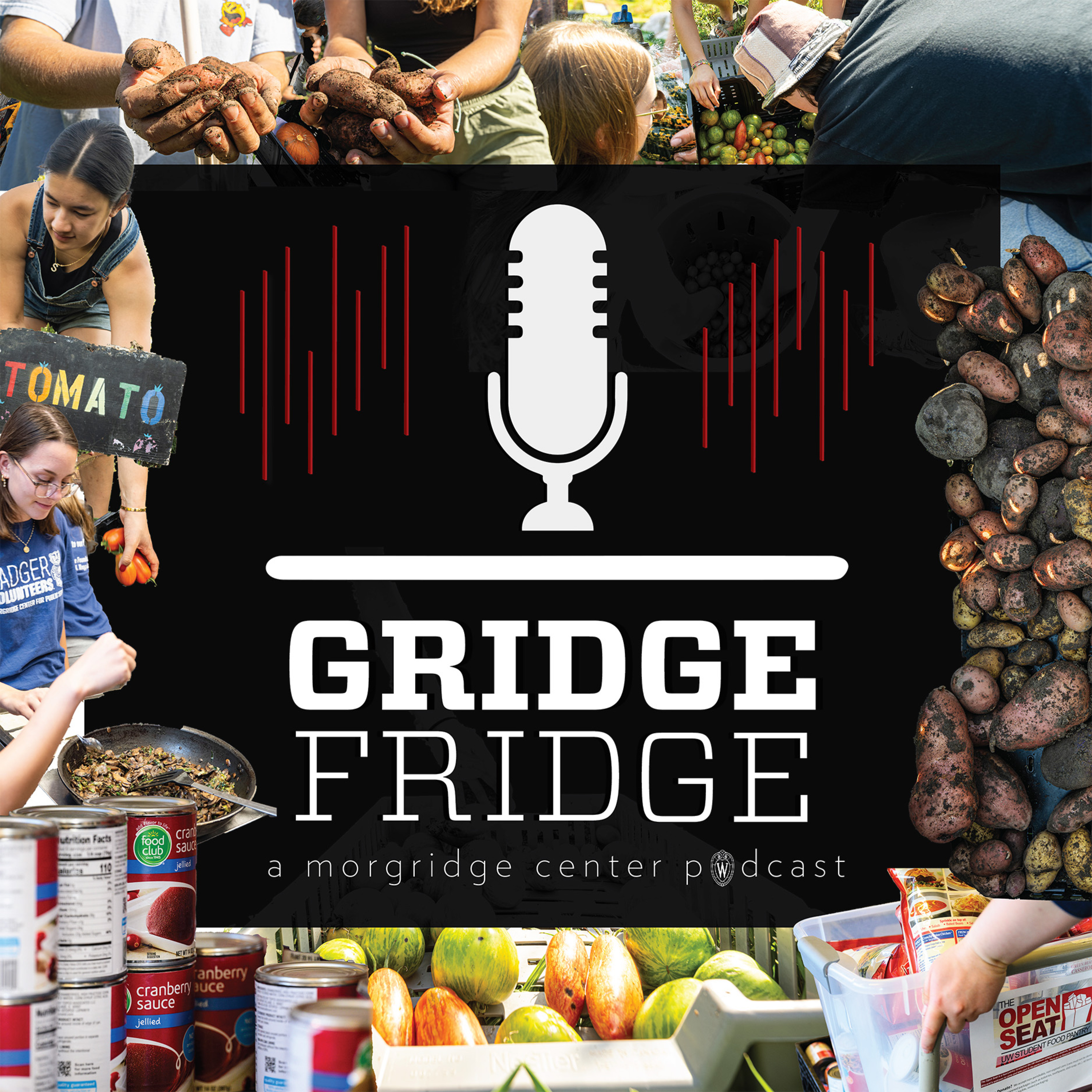 GridgeFridge