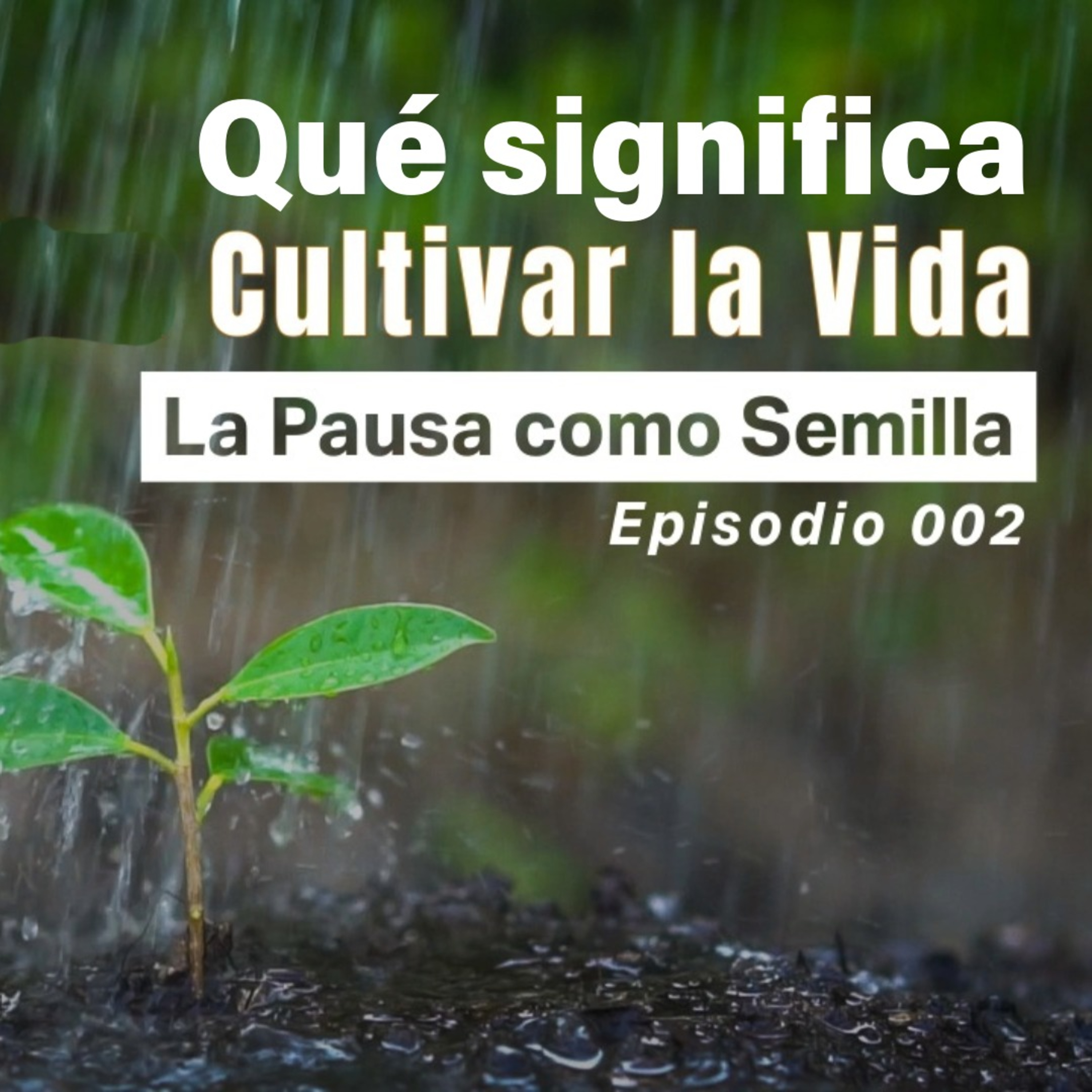 002 - Qué significa cultivar la vida: La pausa como semilla