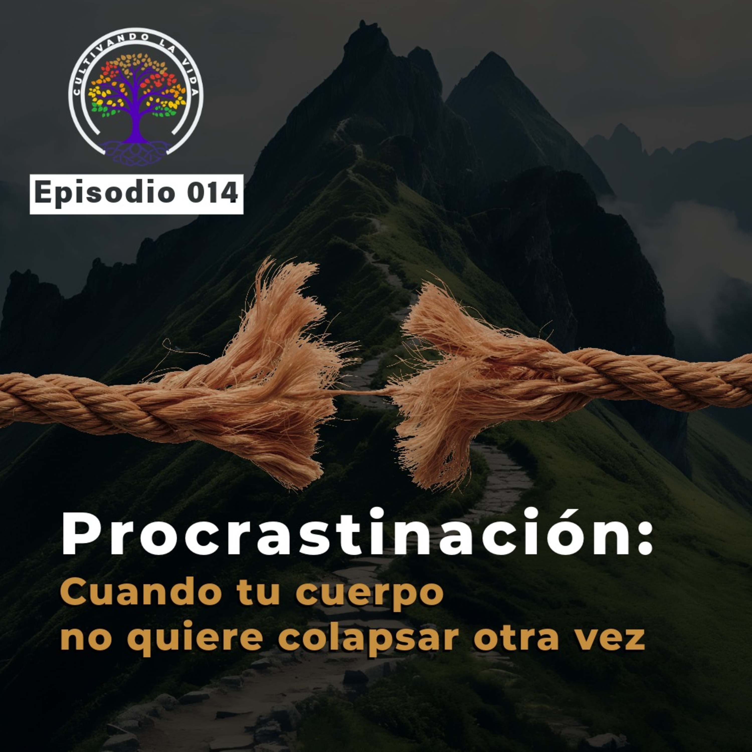 014 - Procrastinación: cuando tu cuerpo no quiere colapsar otra vez episode artwork