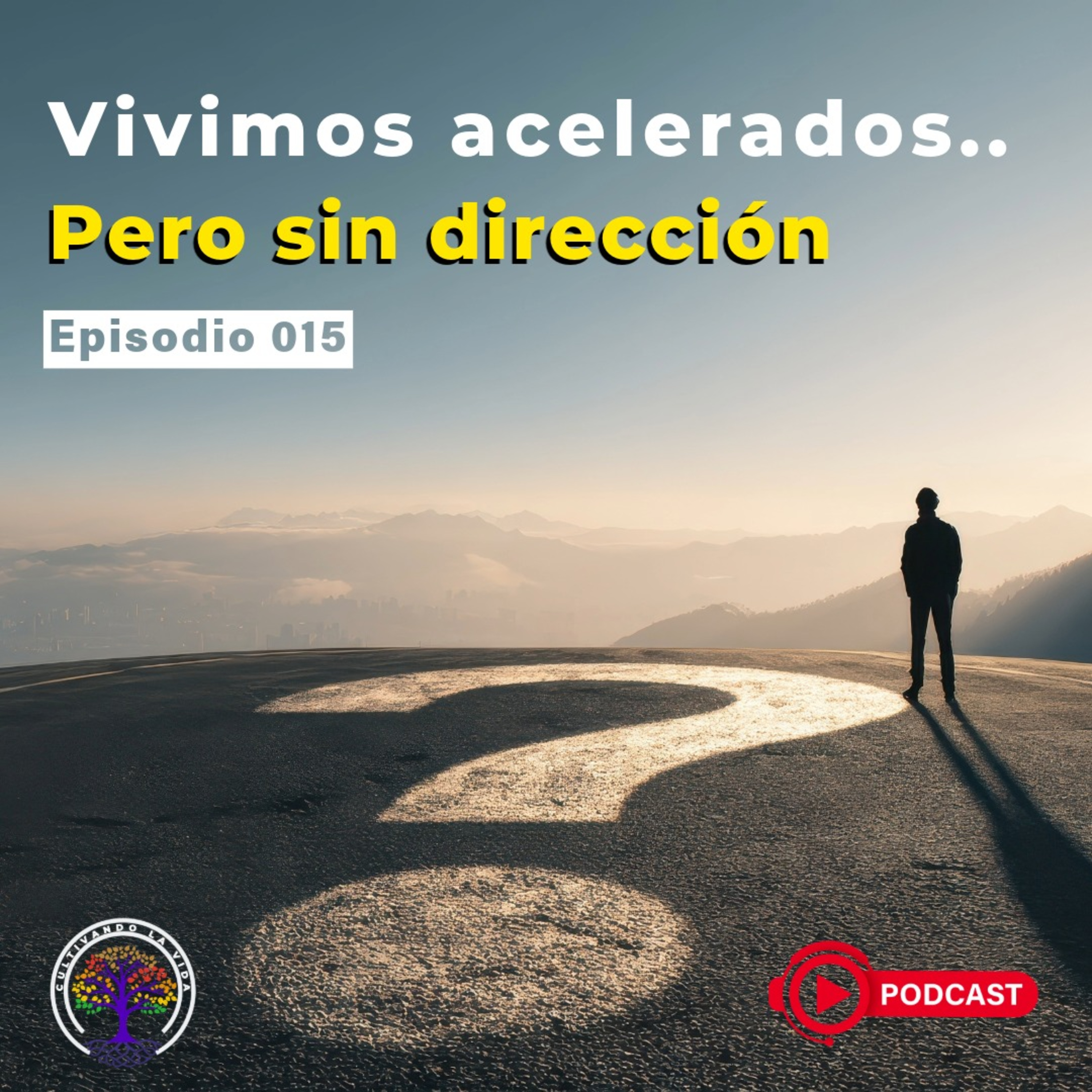 015 - Vivimos acelerados… pero sin dirección