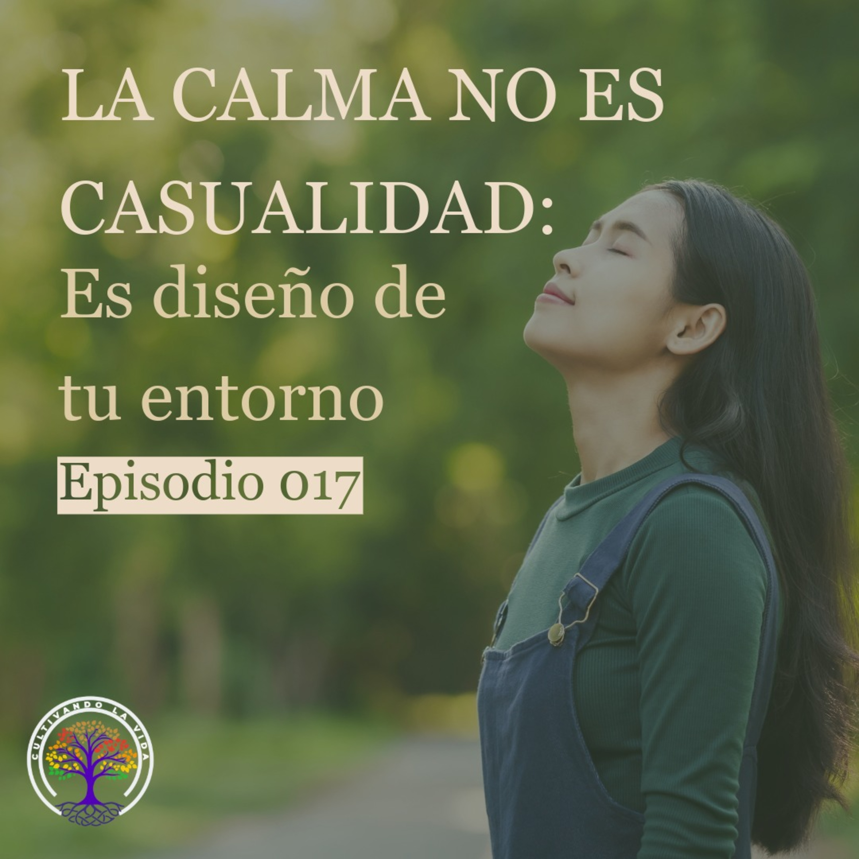 017 – La calma no es casualidad: Es diseño de tu entorno episode artwork