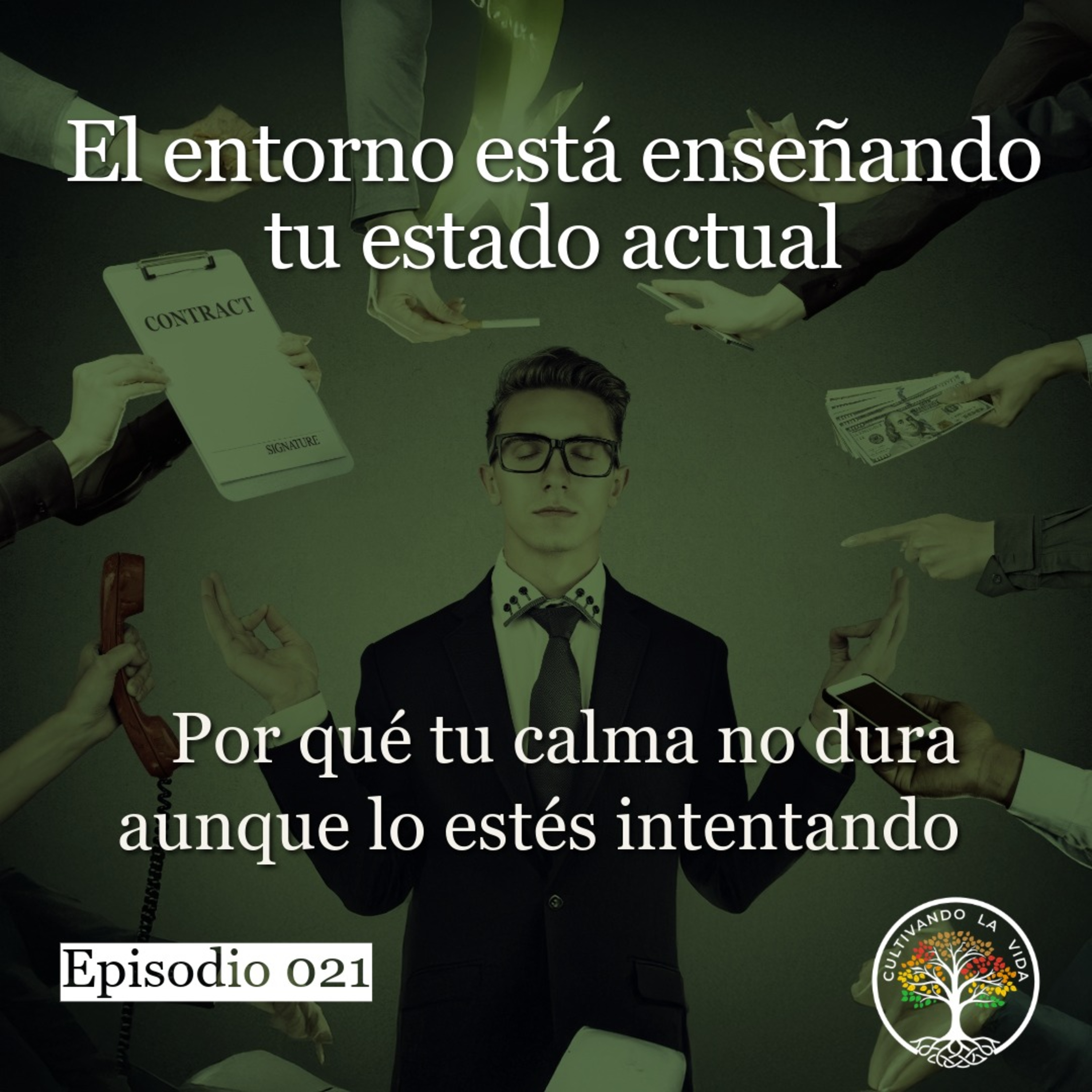 021 - El entorno está enseñando tu estado actual: Por qué tu calma no dura aunque lo estés intentando
