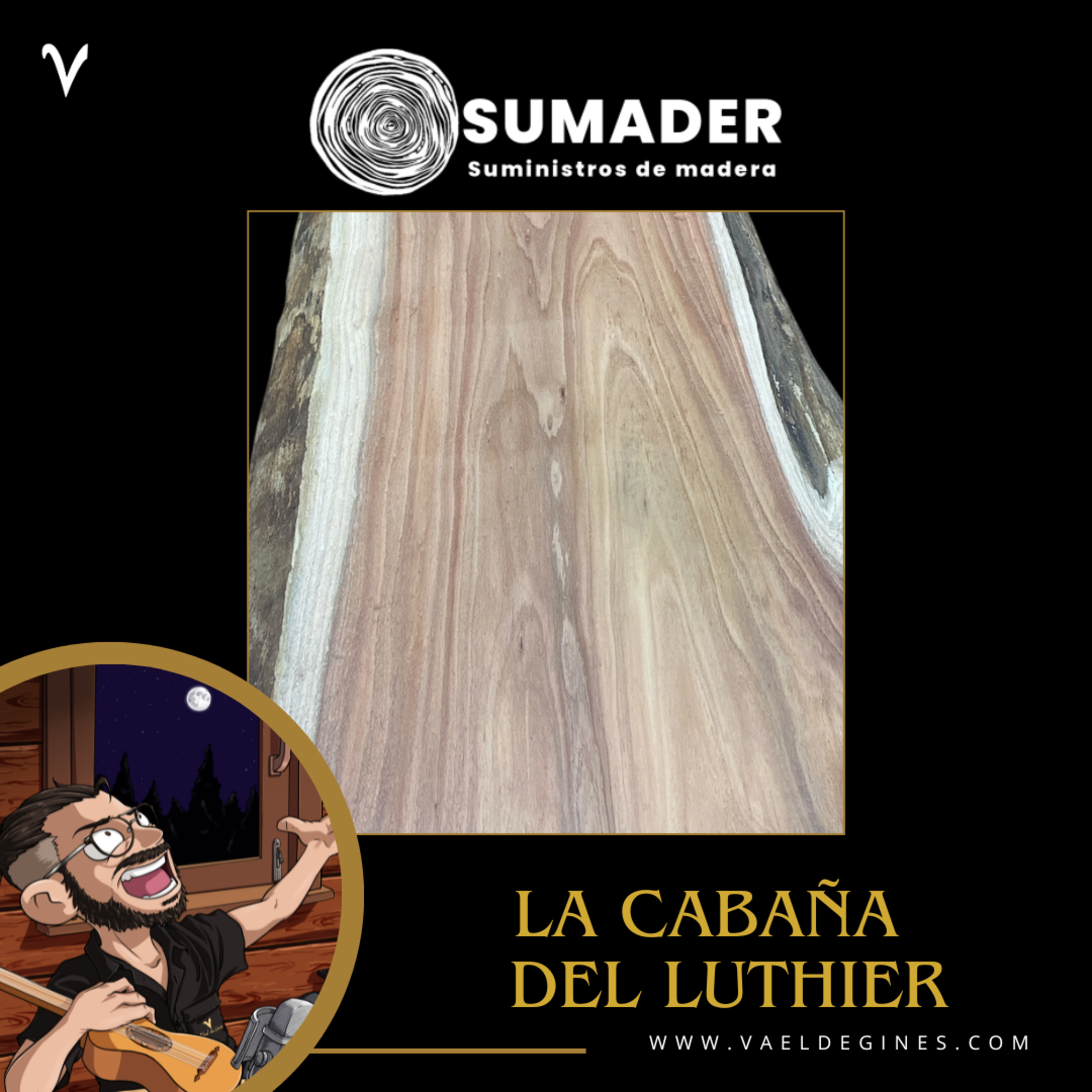 Entrevista a Alicia de Sumader episode artwork