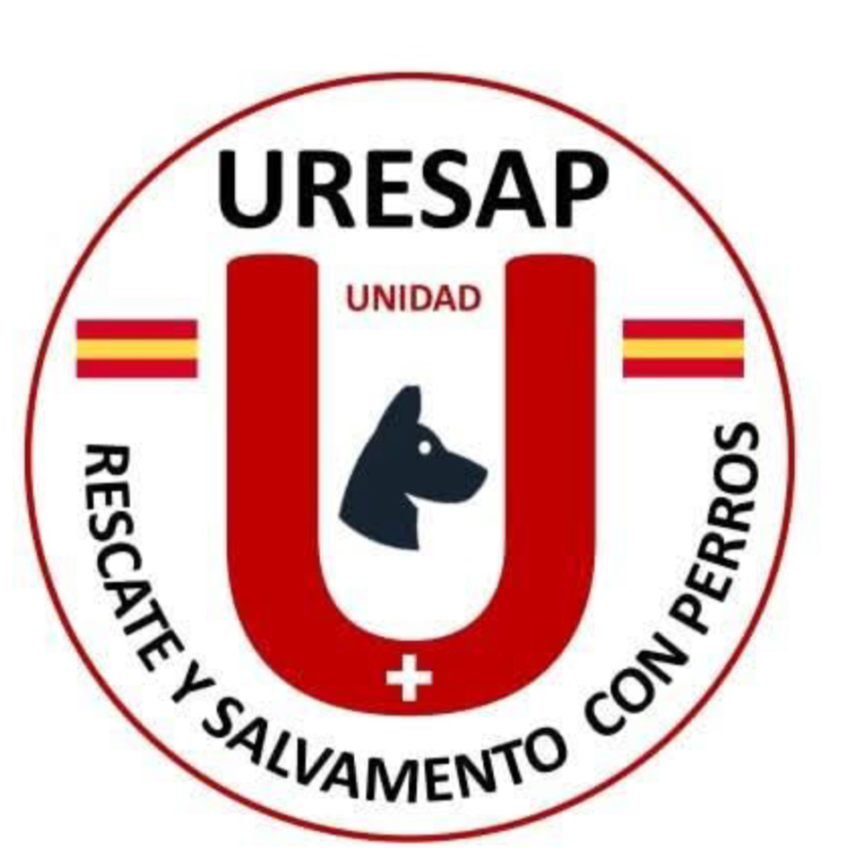 Cómo trabajan los perros de rescate | Unidad canina URESAP episode artwork