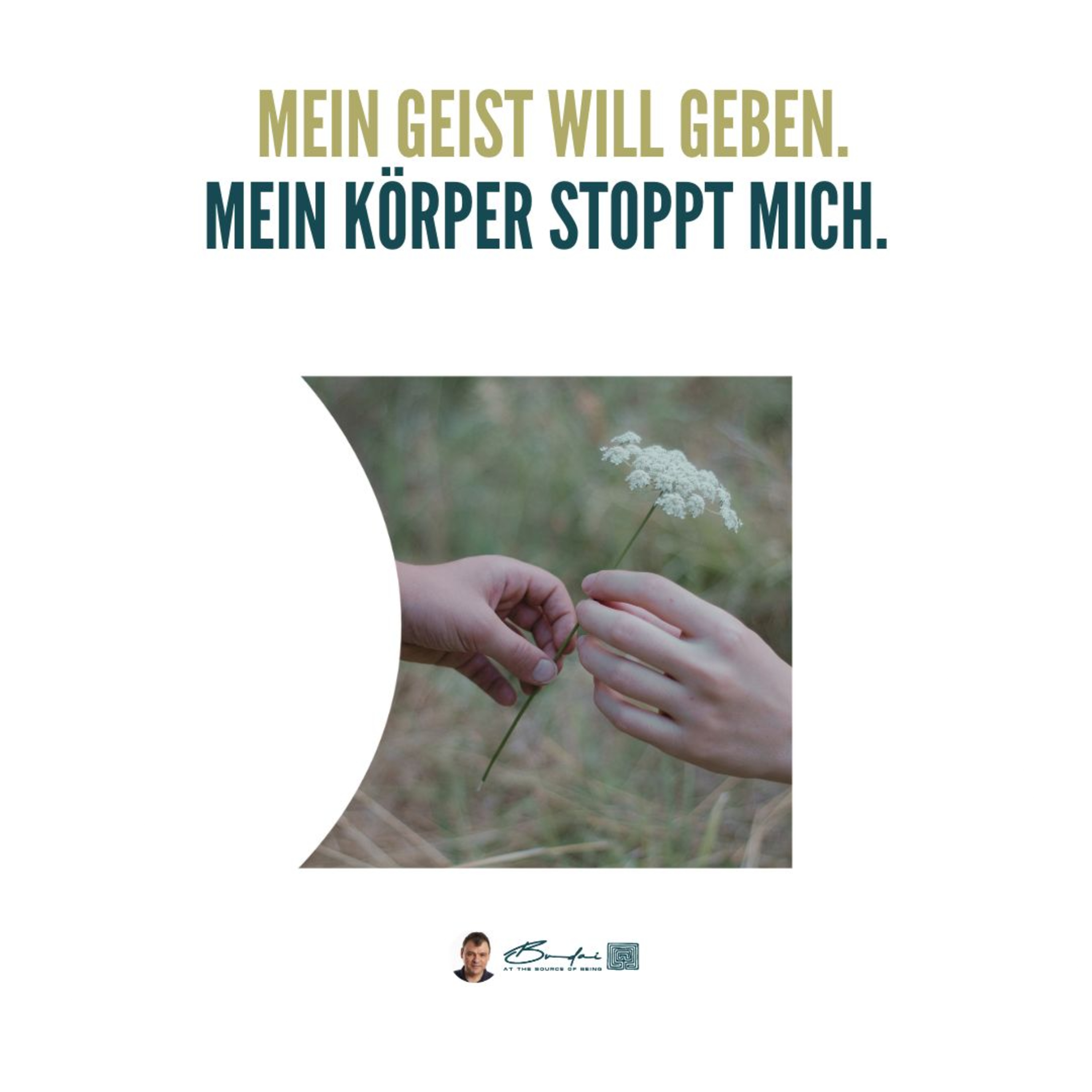 Wie können wir unsere Ziele in Einklang mit unserem Körper bringen? episode artwork