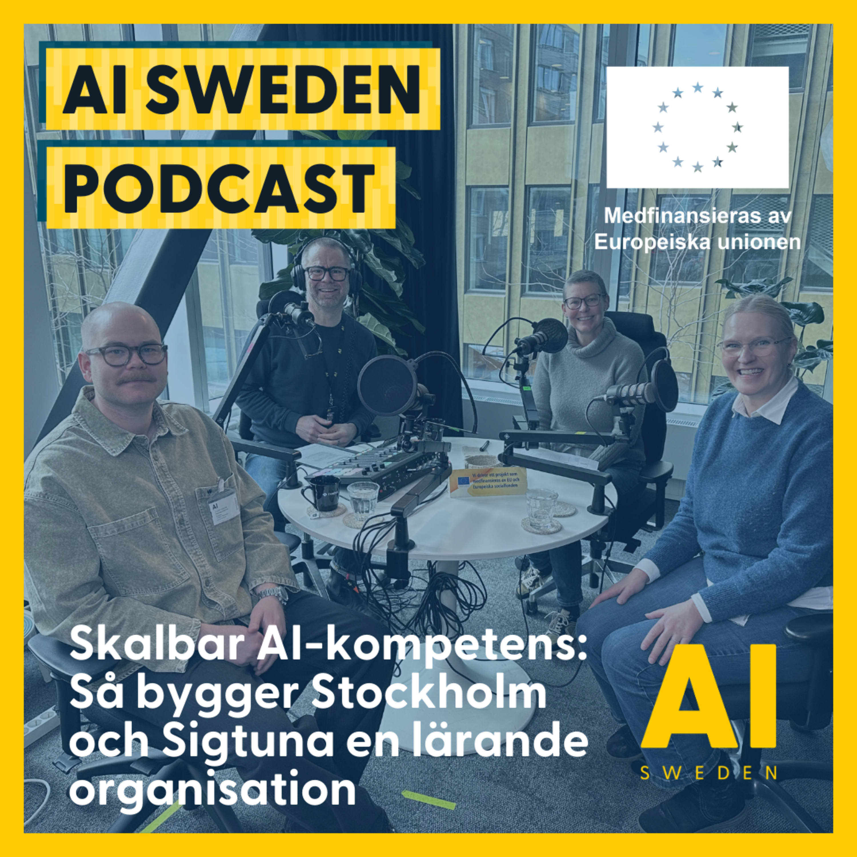 Skalbar AI-kompetens: Så bygger Stockholm och Sigtuna en lärande organisation episode artwork