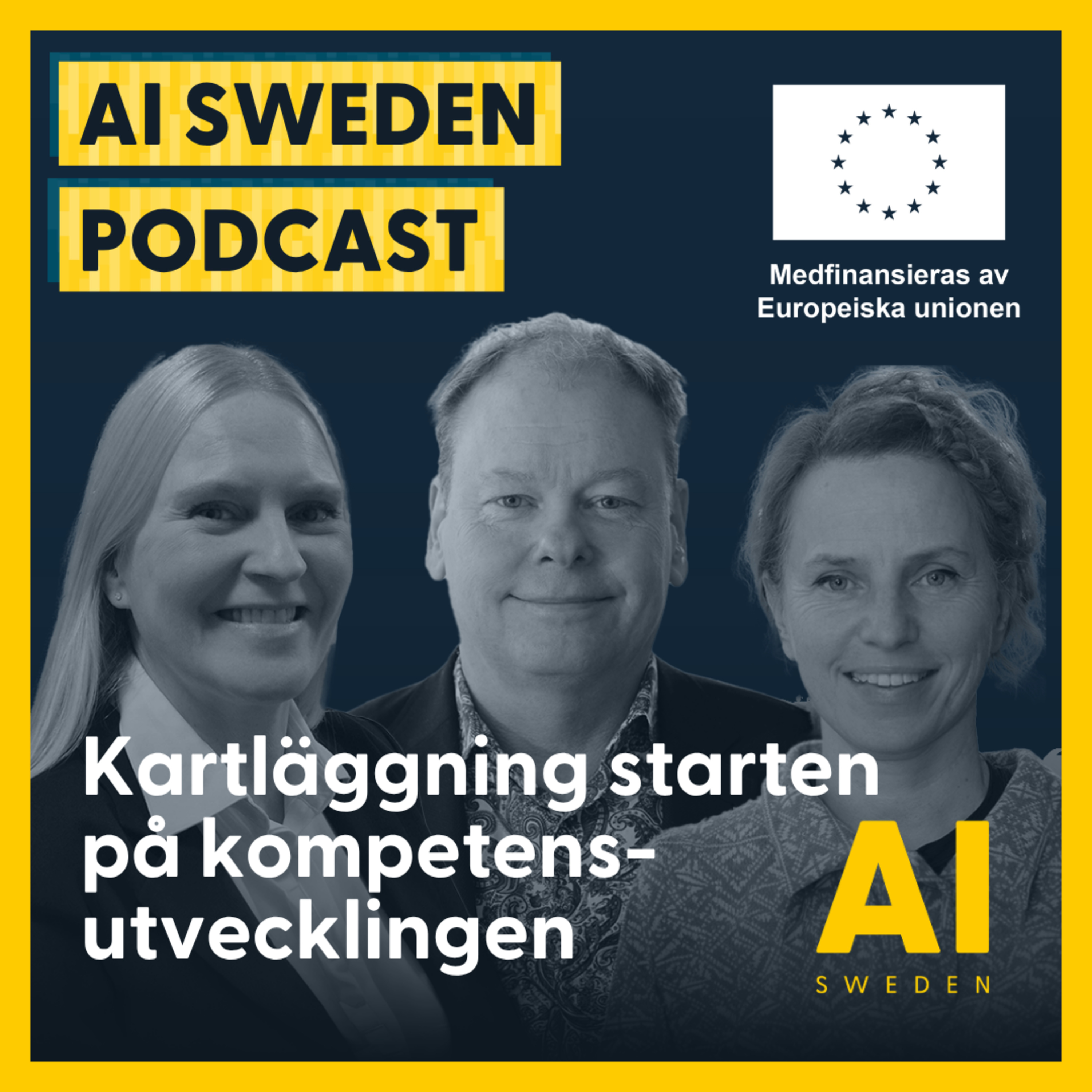 Kompetenskartläggning som start på kompetensutveckling episode artwork