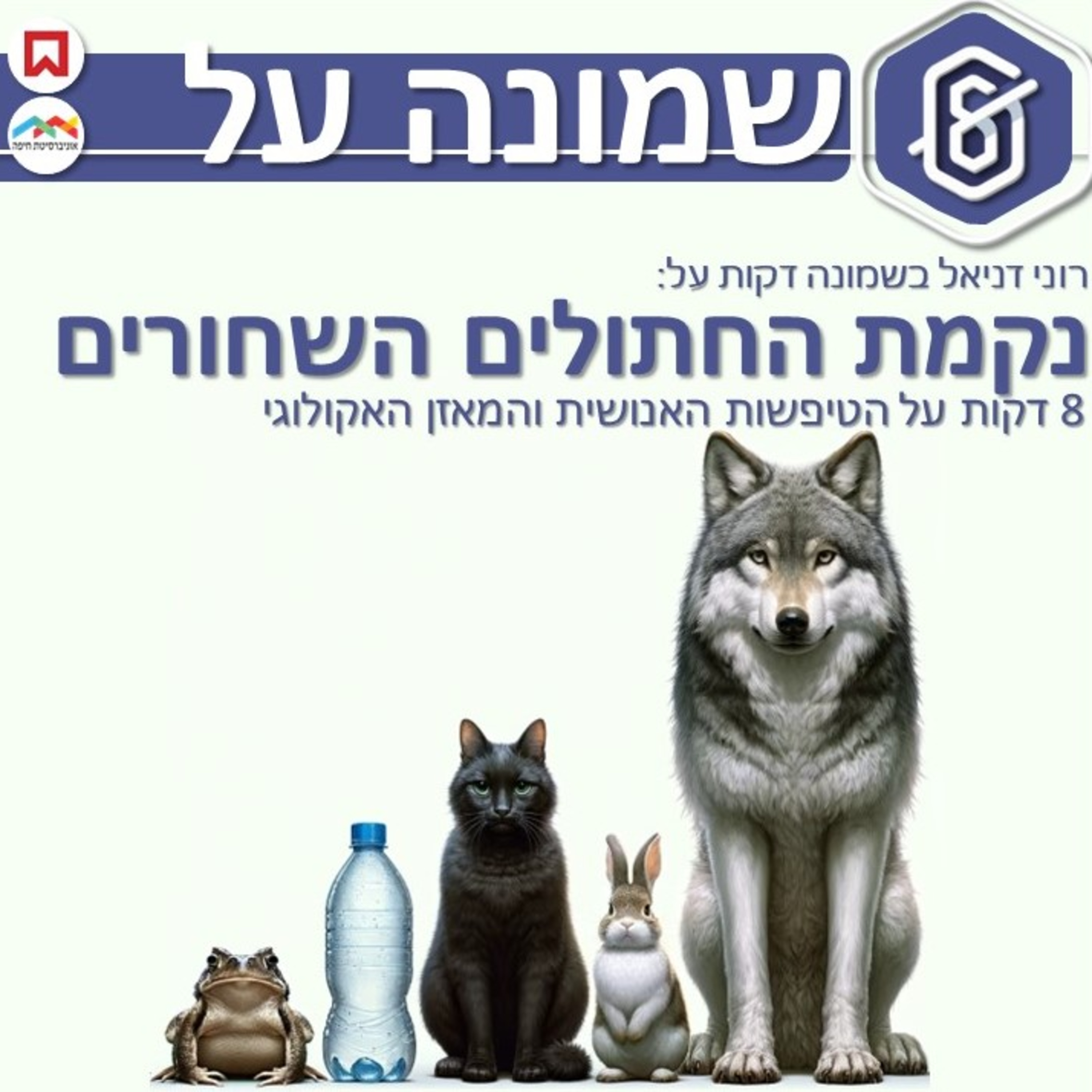 נקמת החתולים השחורים: 8 דקות על הטיפשות האנושית והמאזן האקולוגי episode artwork