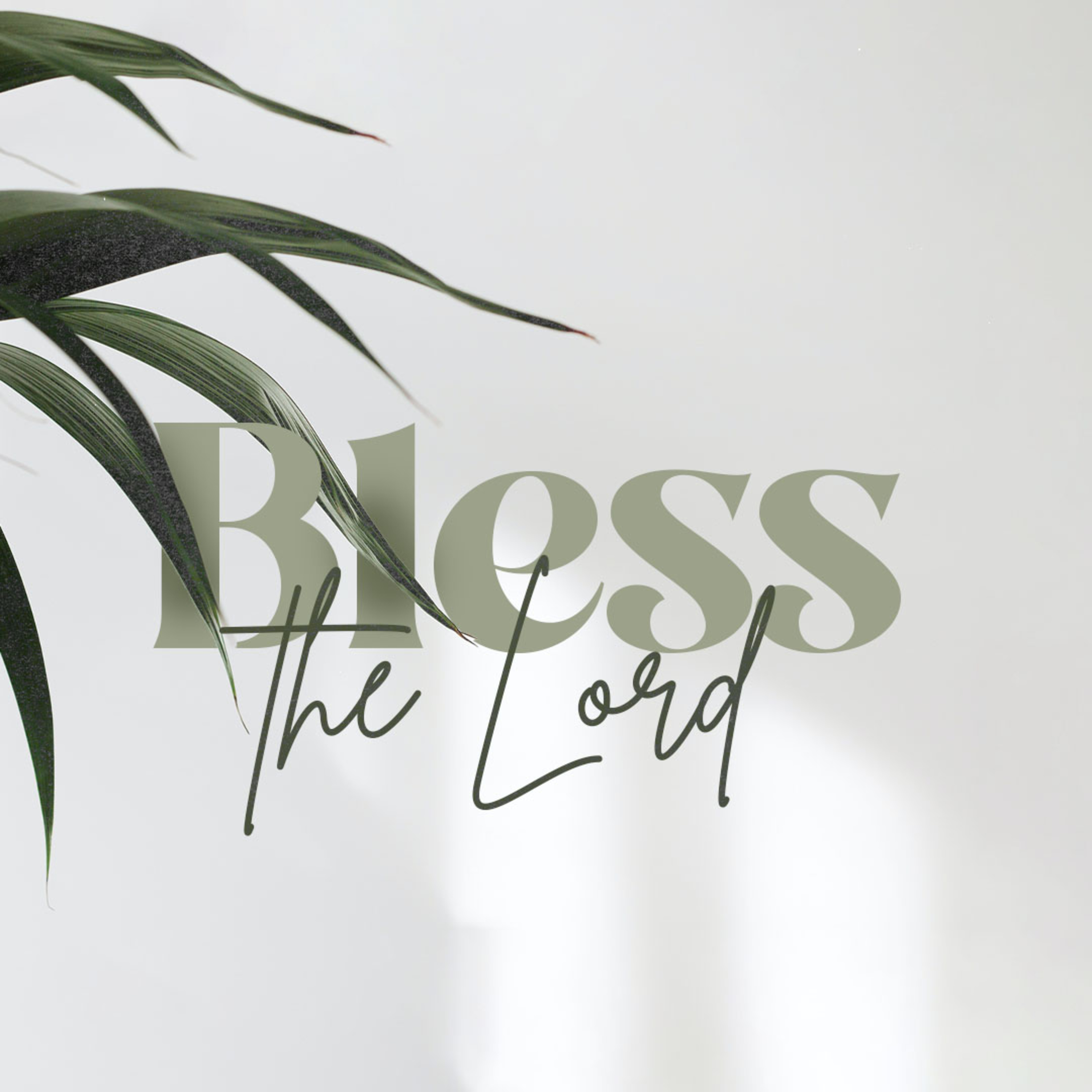 Bless the Lord | Singing with Confidence to the Lord episode artwork