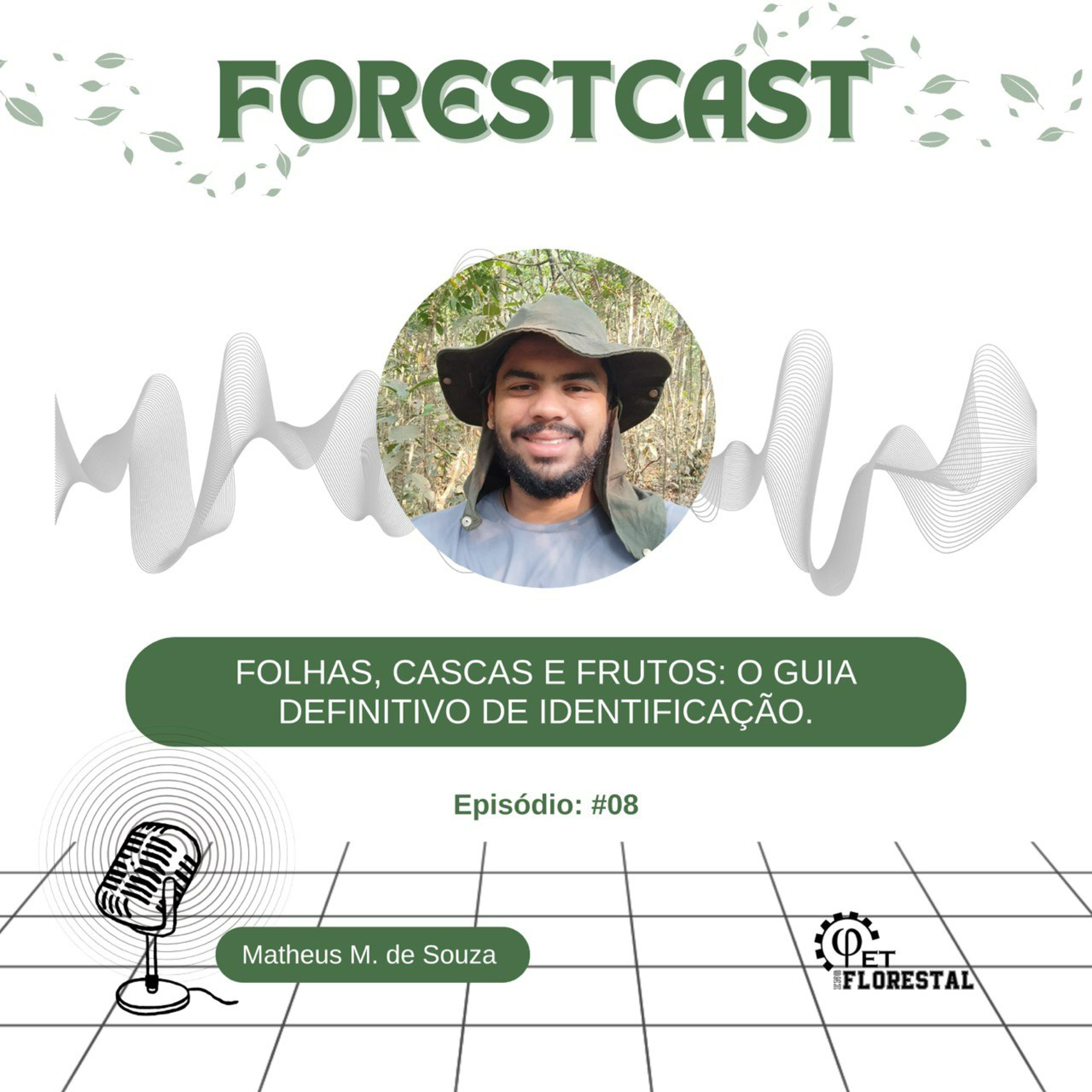 Folhas, Cascas e Frutos: O guia definitivo de identificação.