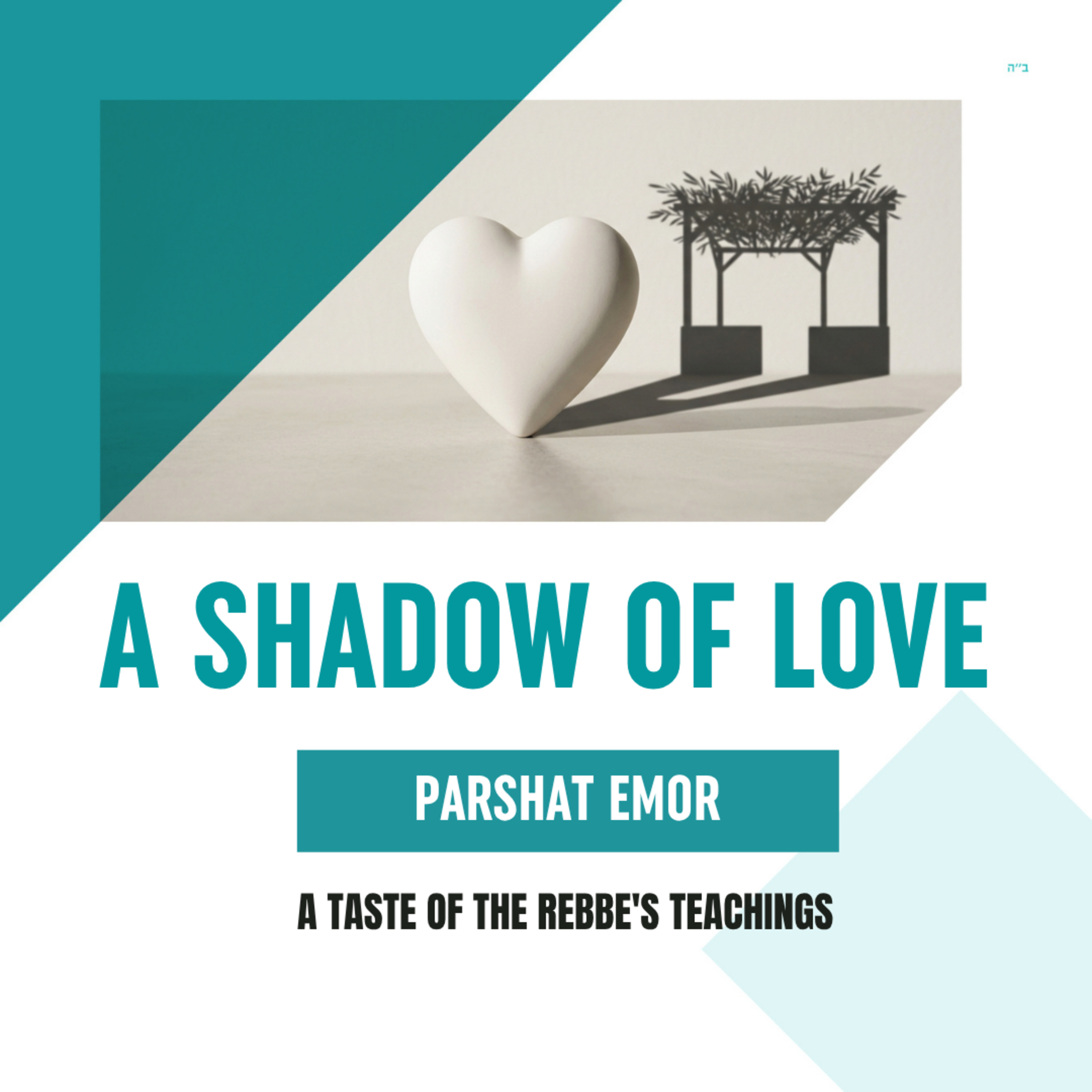 Torah Class - Parshat Emor: A Shadow of Love