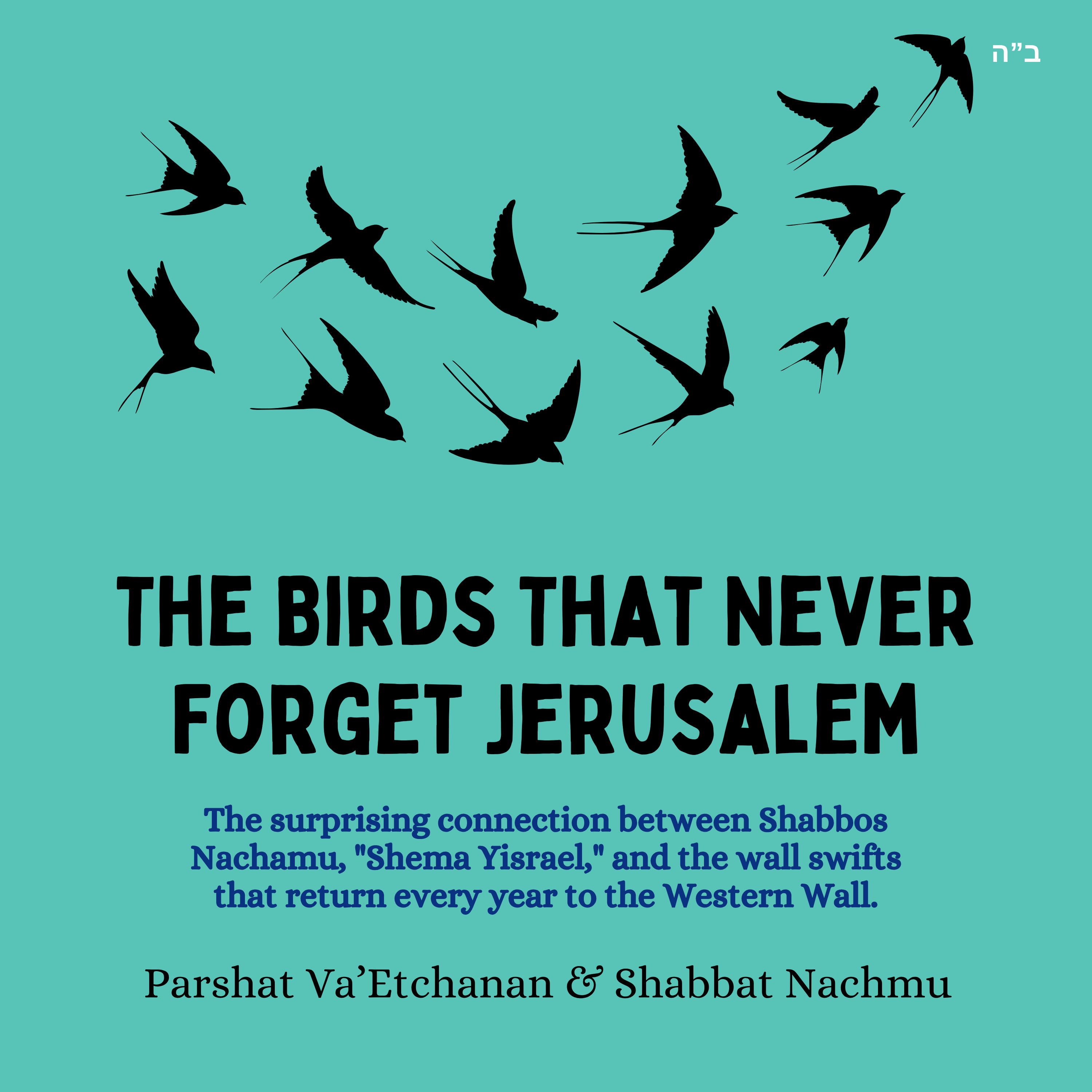 The Birds That Never Forget Jerusalem (Parshat Va’Etchanan & Shabbat Nachamu)