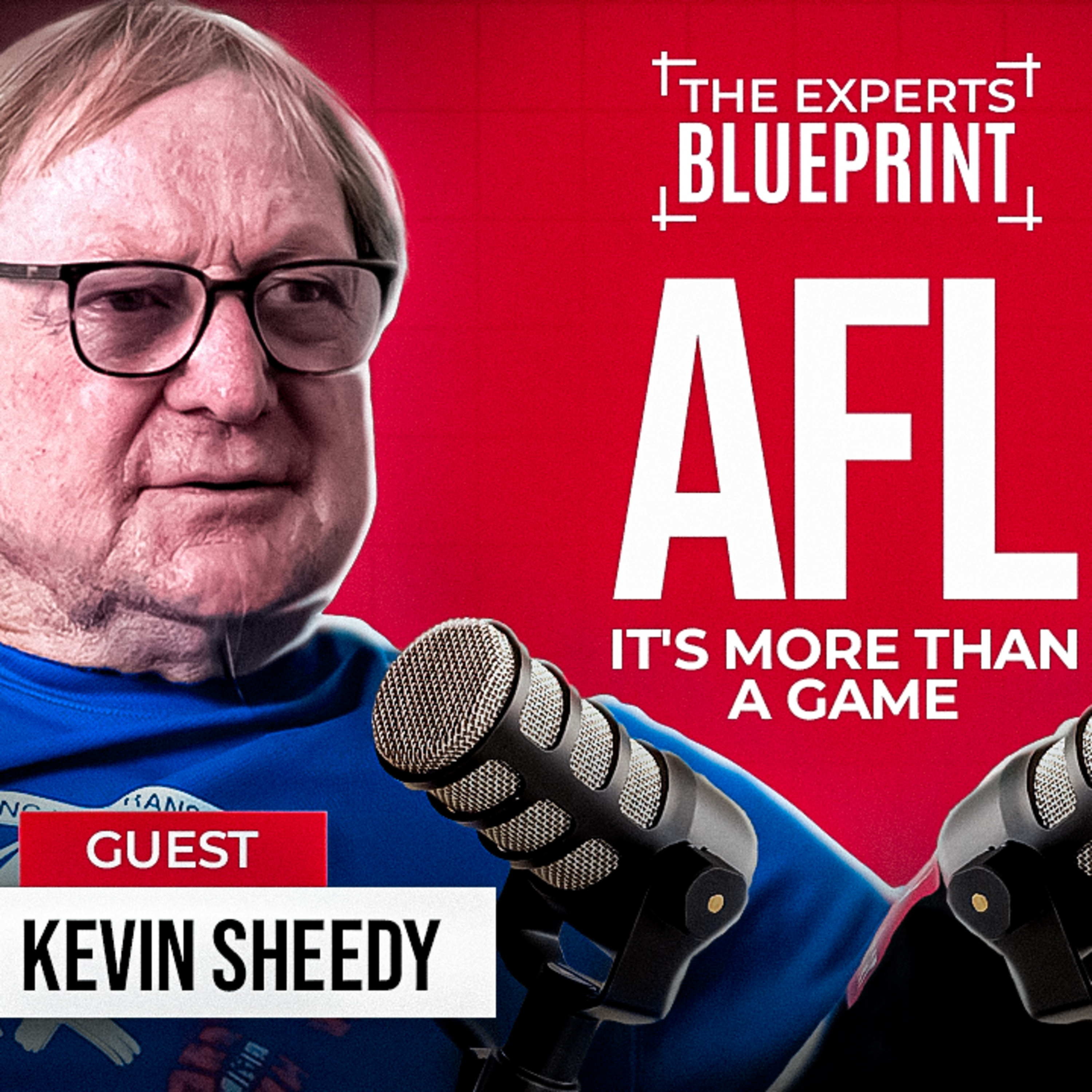 The Experts Blueprint