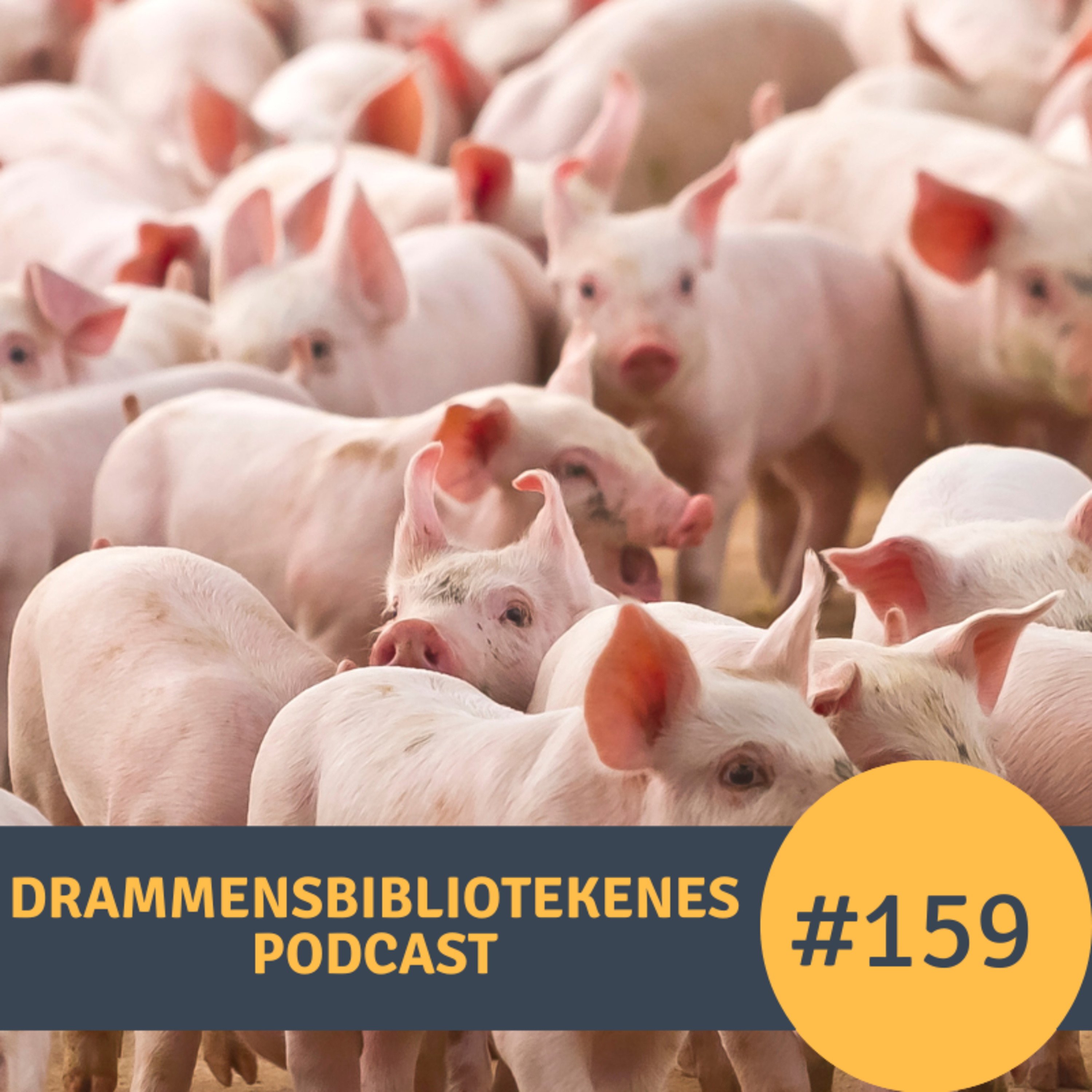 #159 - Norun Haugen om boken «Til dyrene» episode artwork