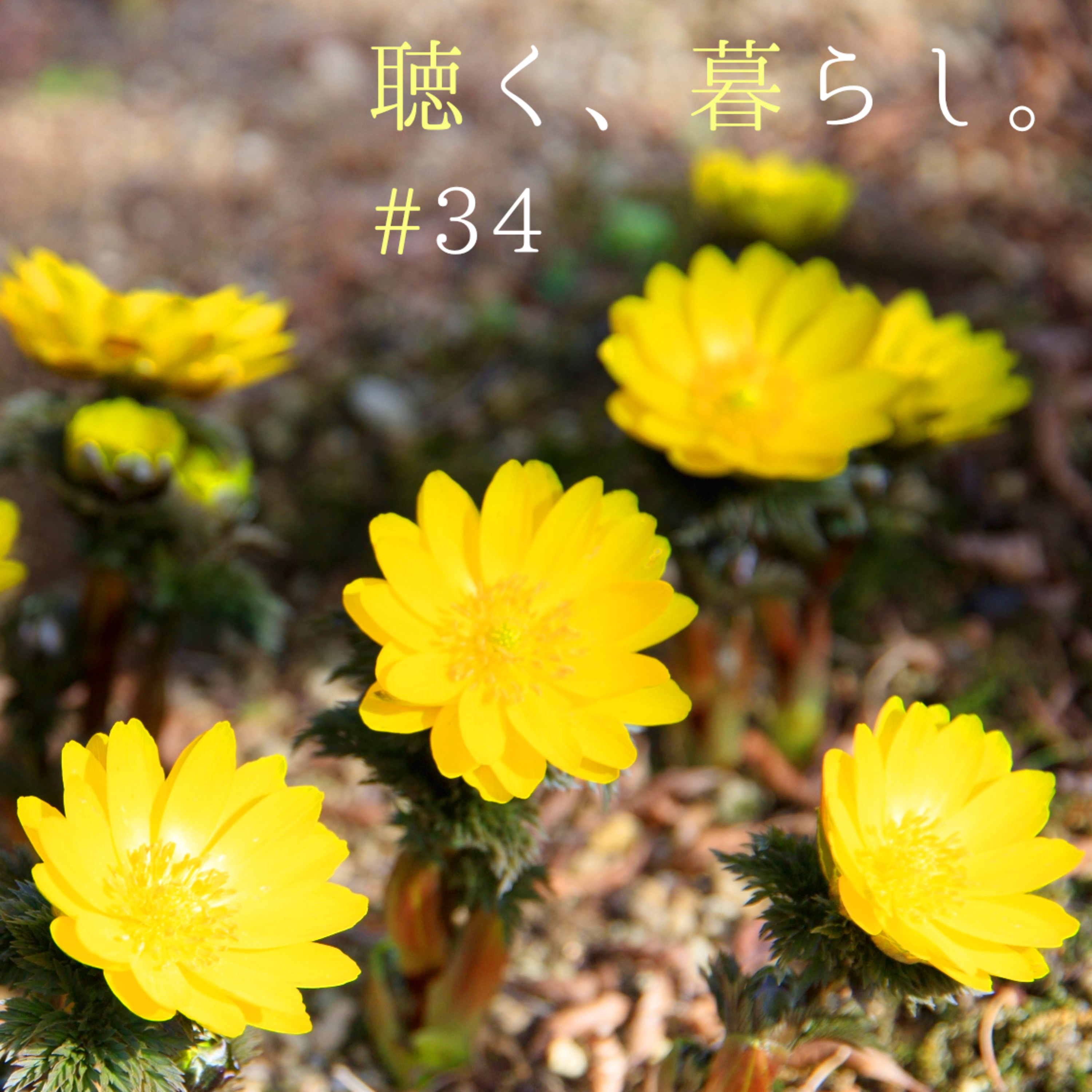 WEBラジオ「聴く、暮らし。」