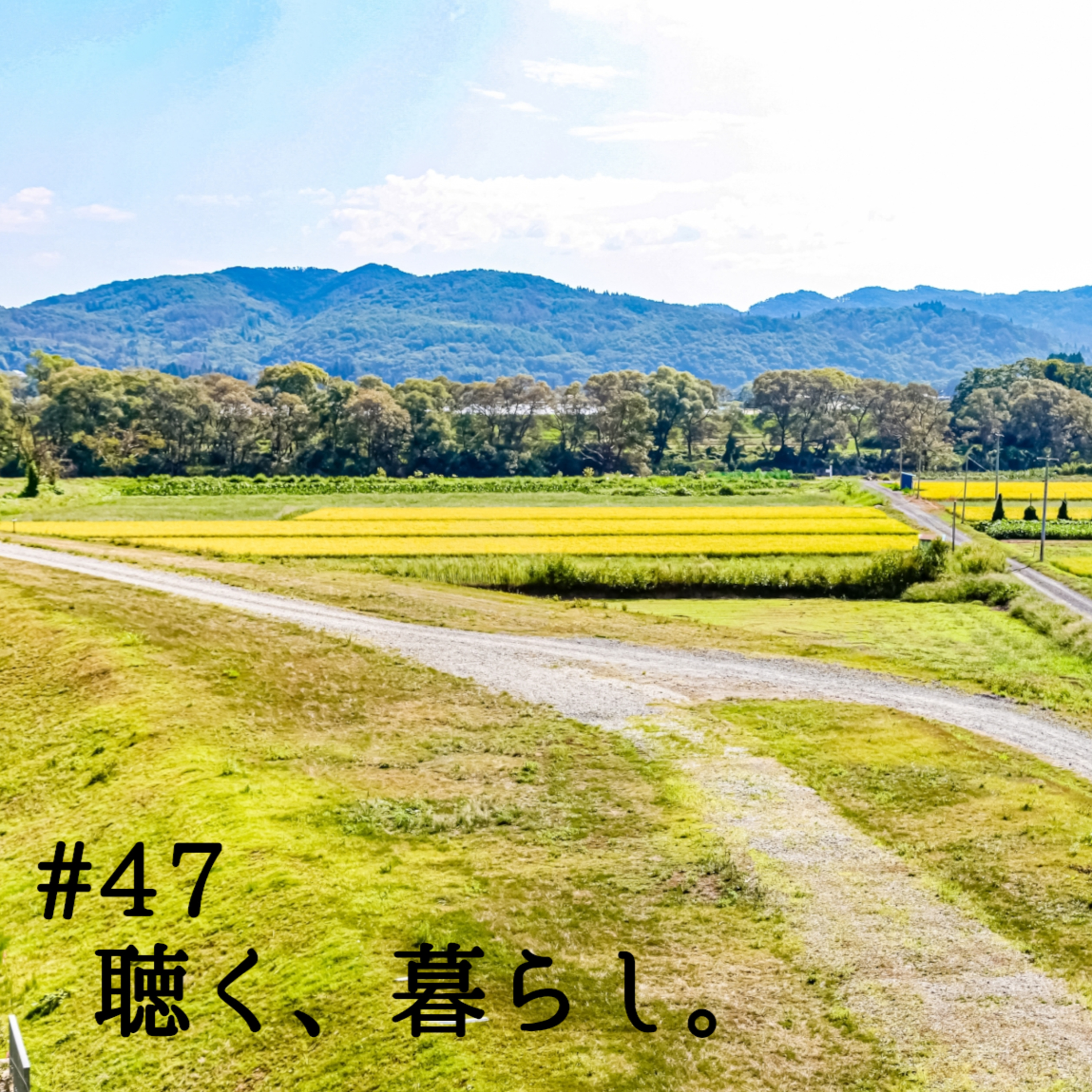 WEBラジオ「聴く、暮らし。」