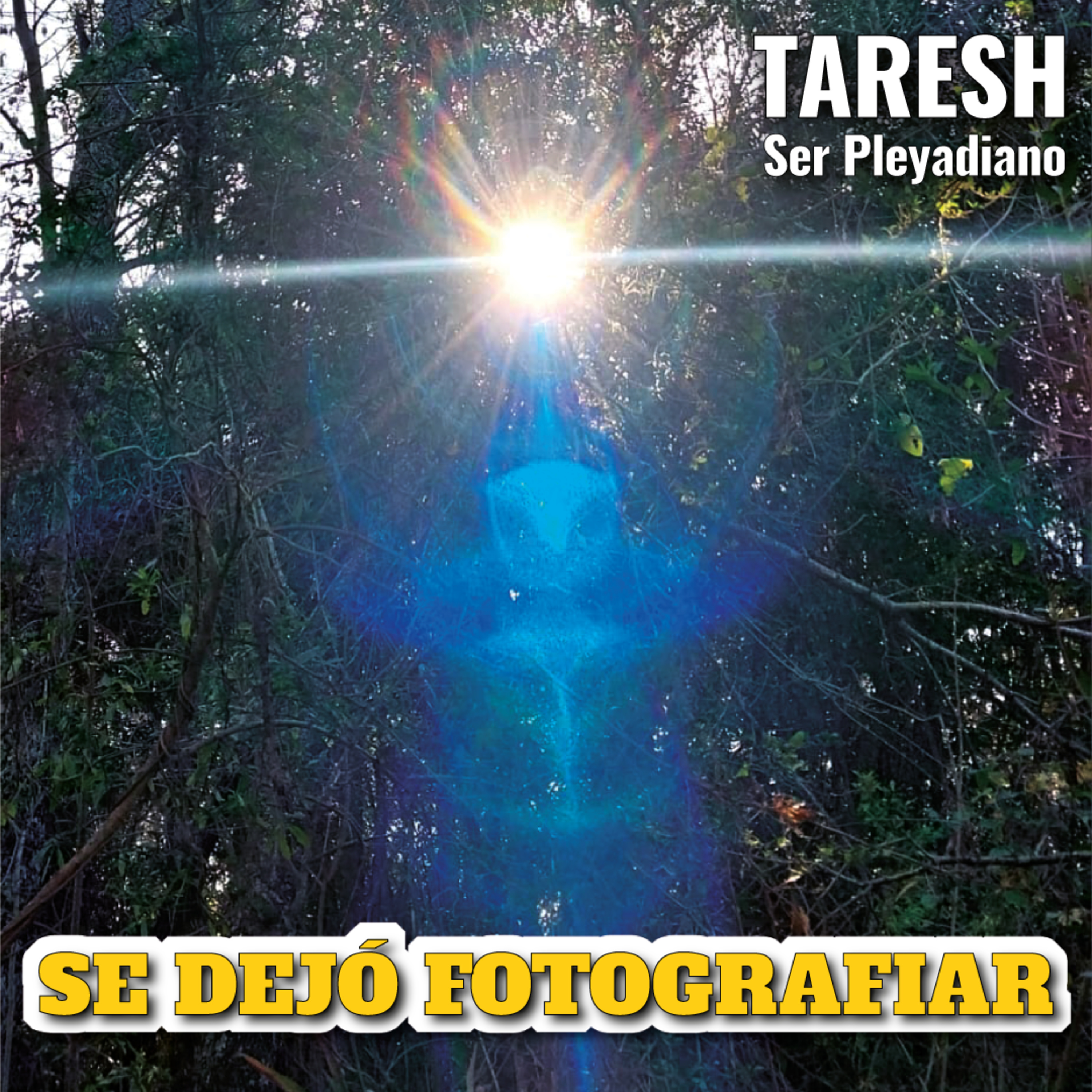 SE DEJÓ FOTOGRAFIAR 📸​ TARESH, Ser Pleyadiano, Perteneciente al Consejo Galáctico Antariano 🌌​✨​