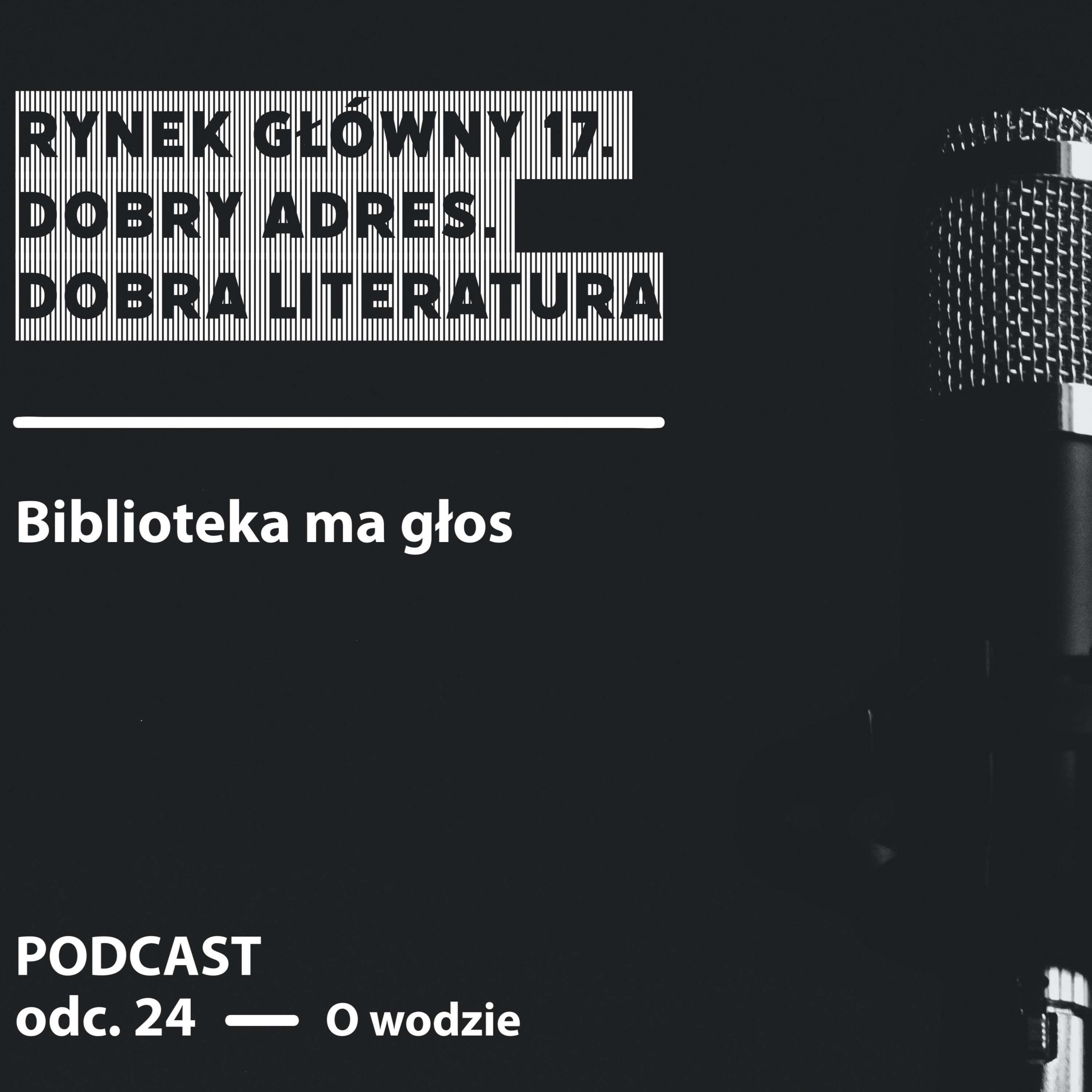 Rynek Główny 17 - Odcinek 24 - O wodzie episode artwork