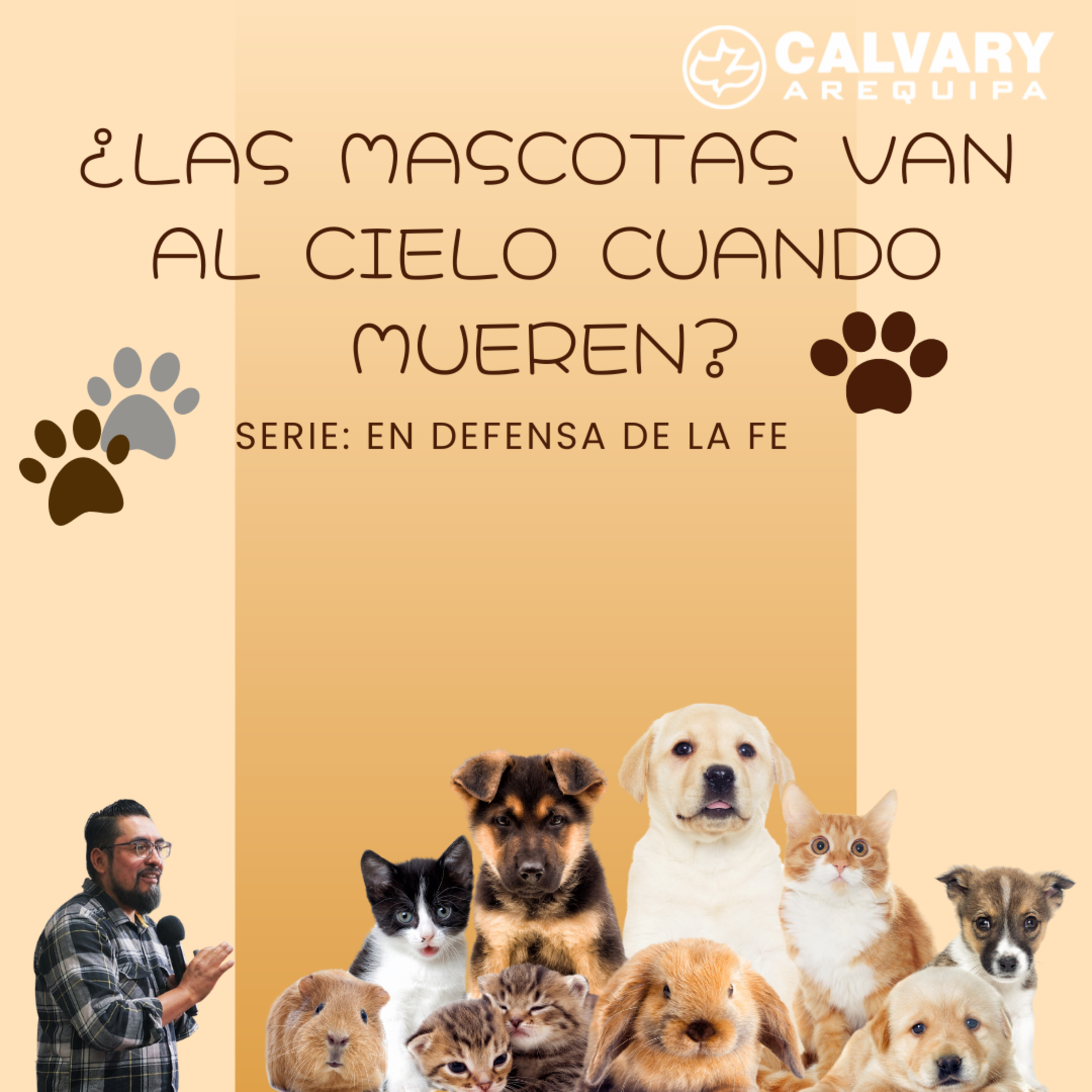 ¿Las mascotas van al cielo cuando mueren?