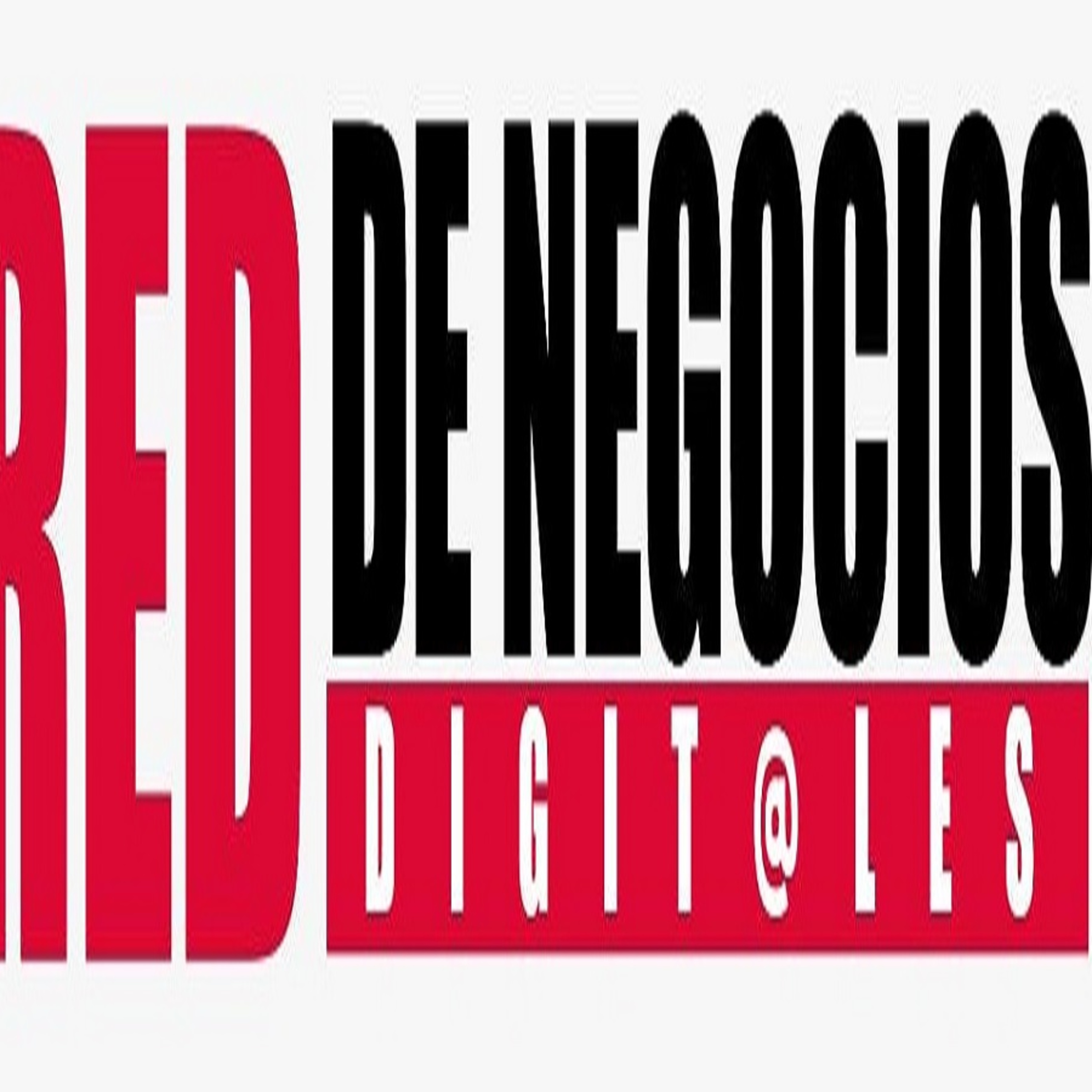 Red de Negocios Digitales 070723 p249