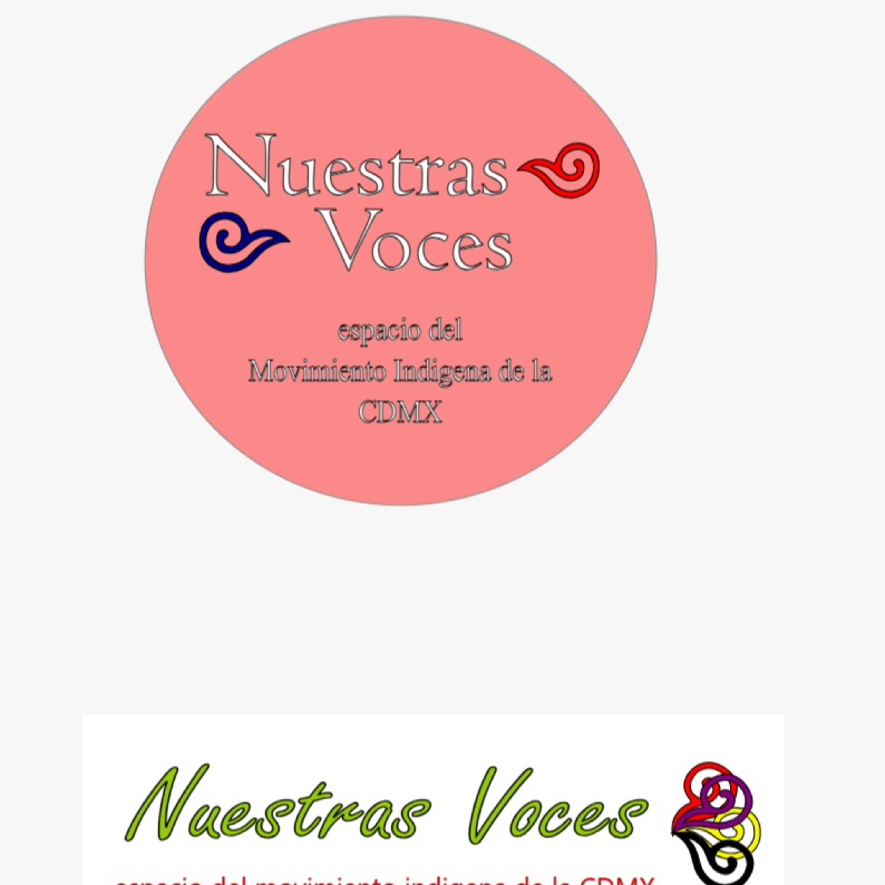 Nuestras Voces 24022025 p 334