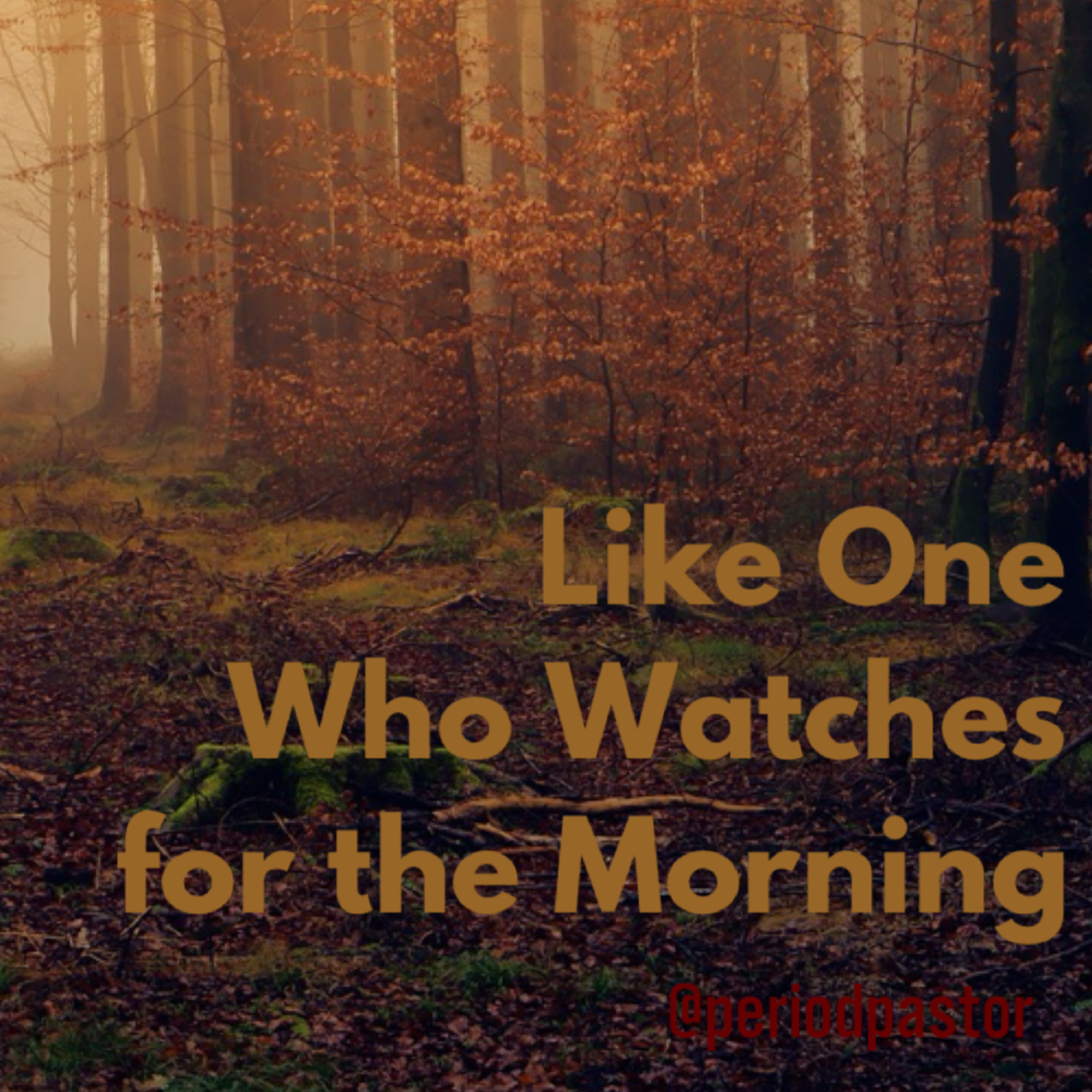 Like One Who Watches For The Morning: Psalms in Year B episode artwork