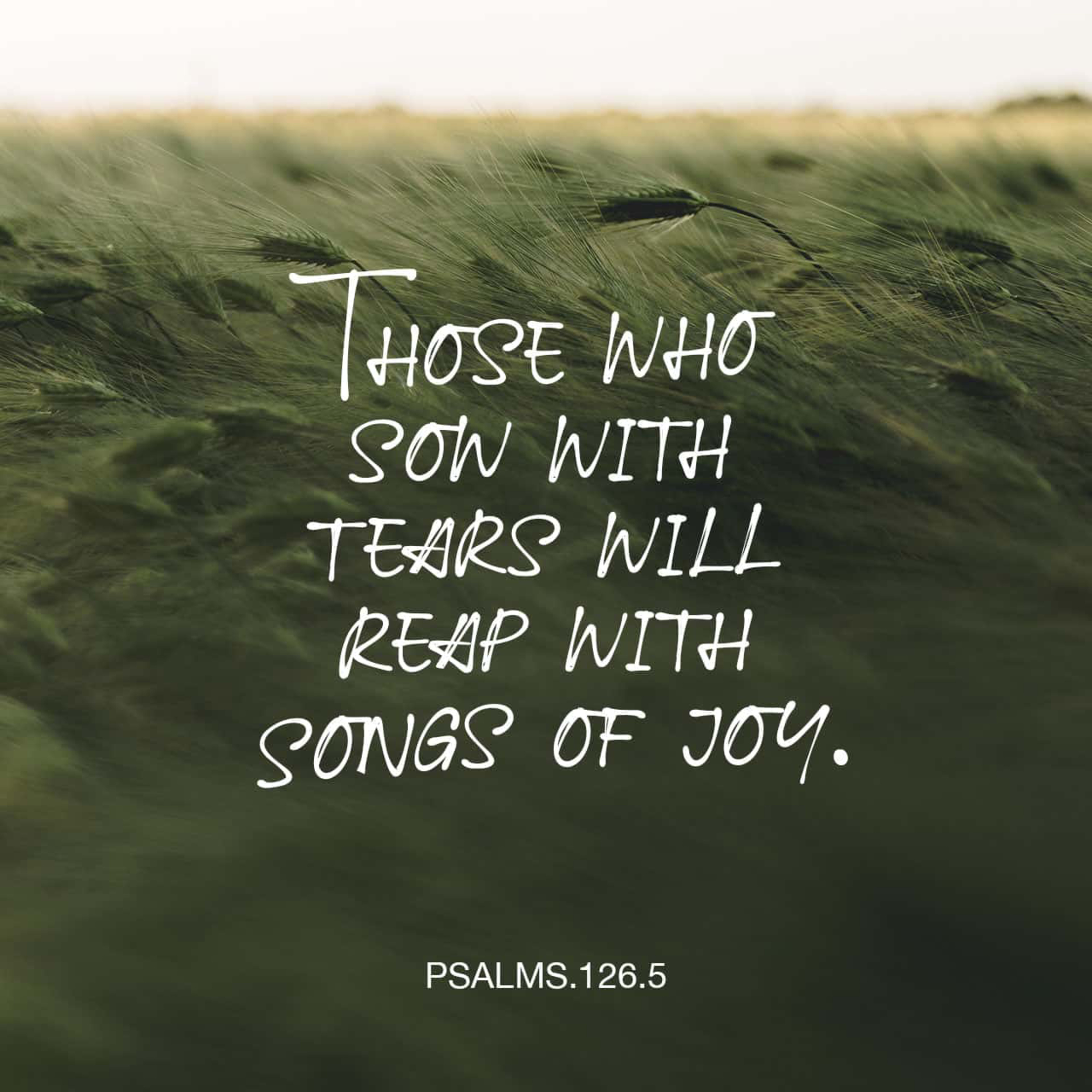 Like One Who Watches For The Morning: Psalm 126