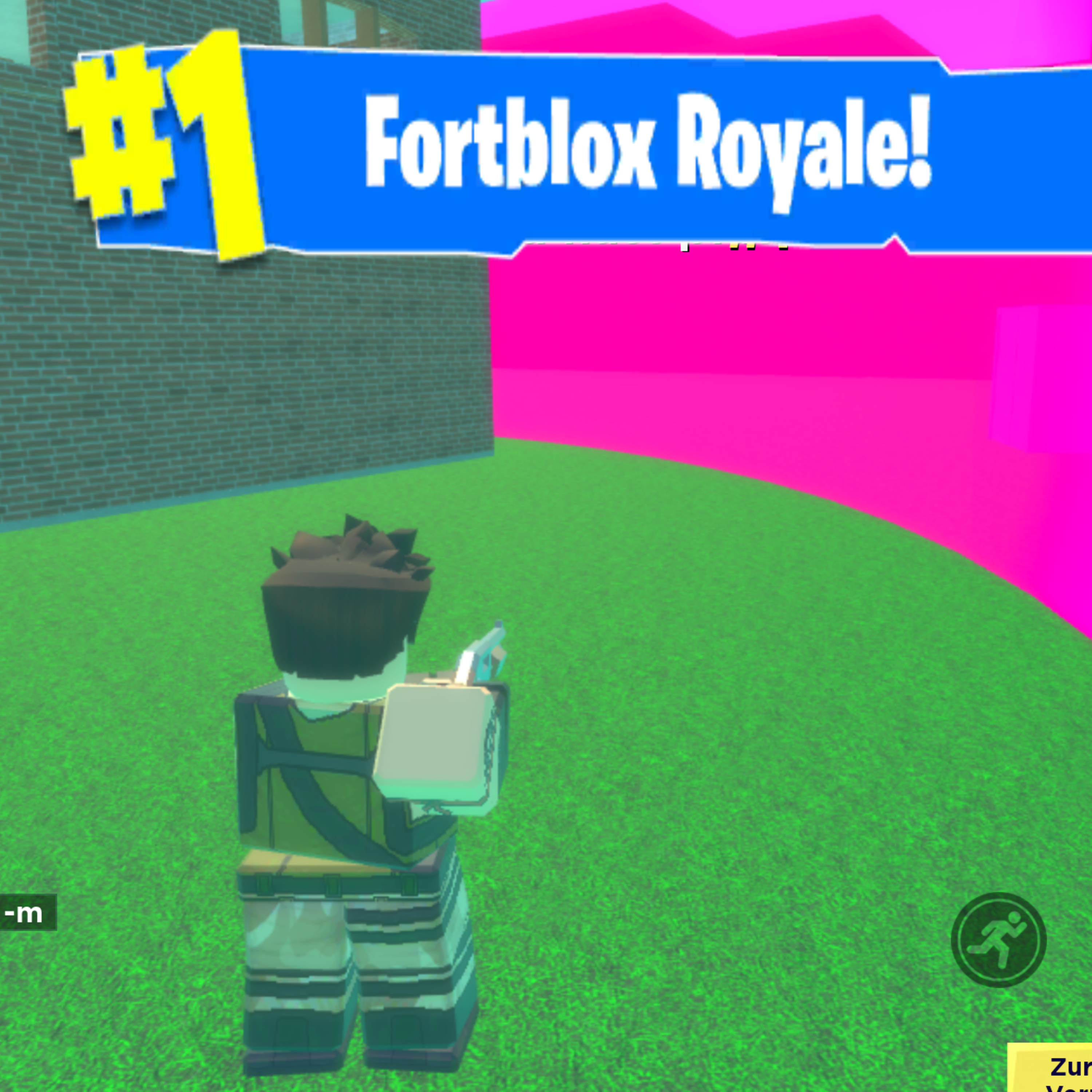 Ich spiele fortnite auf wish 💀