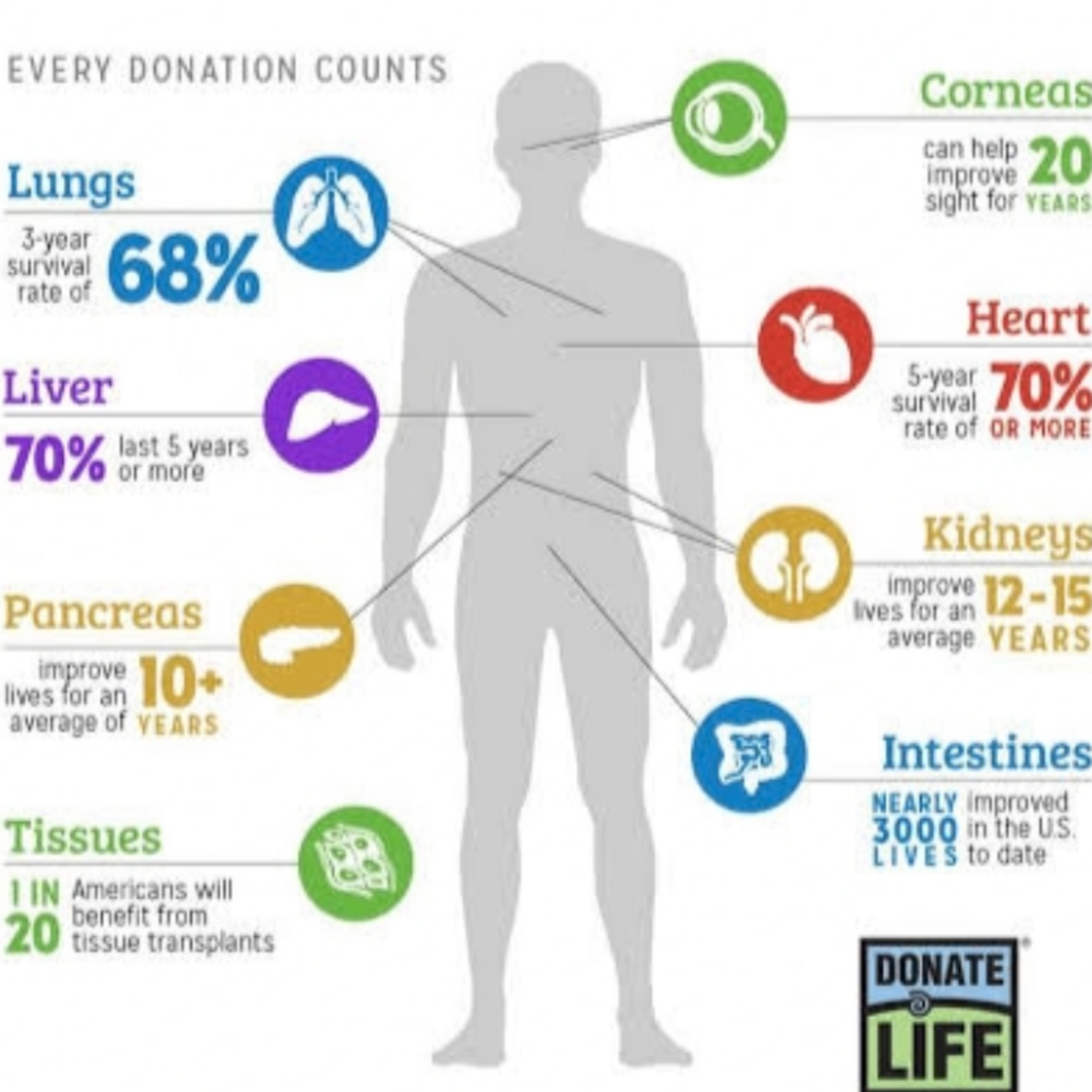 Gift of Life : Organ Donation facts episode artwork