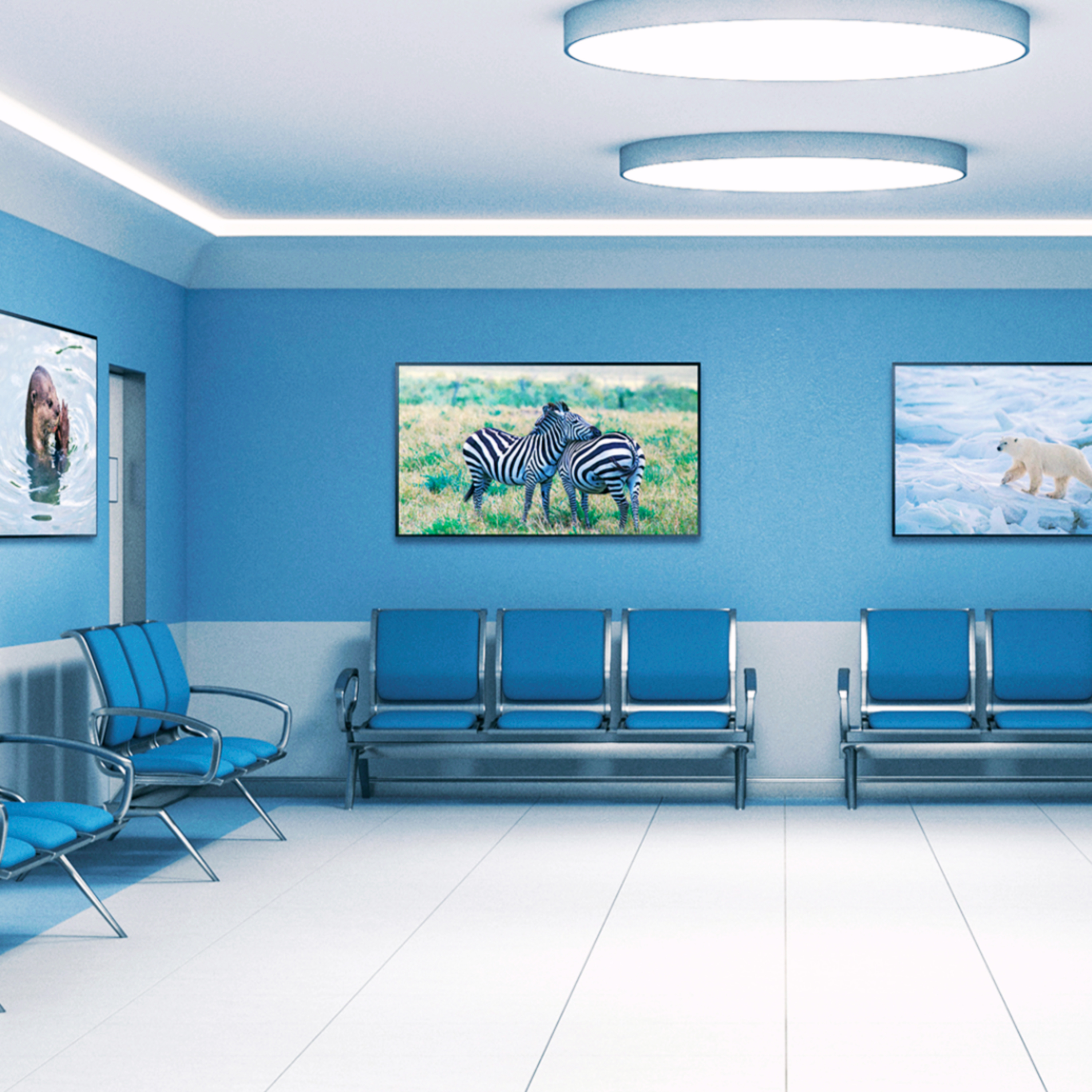 Why are hospital walls light green or blue?  episode artwork