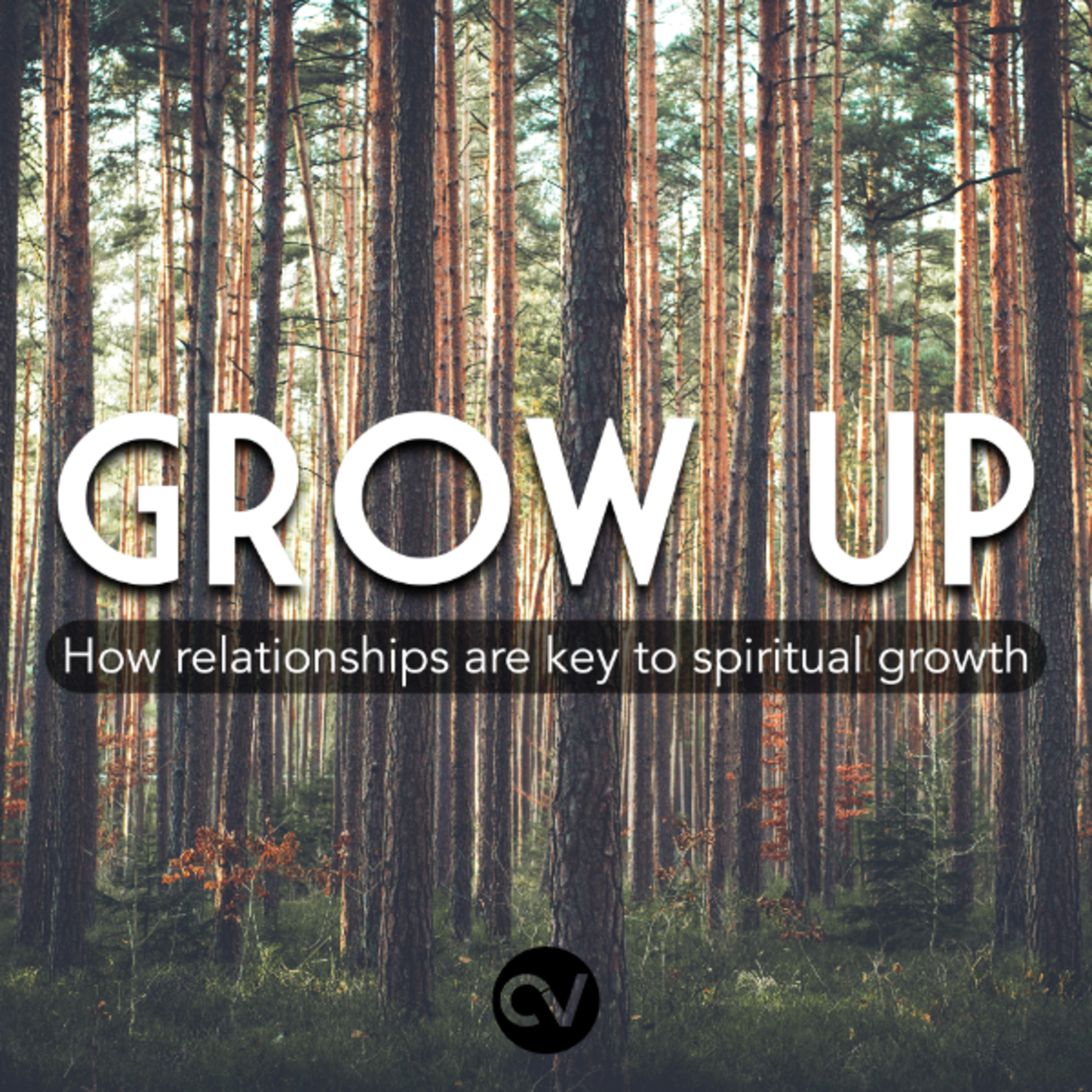 How do we build friendships that last? - Grow Up episode artwork