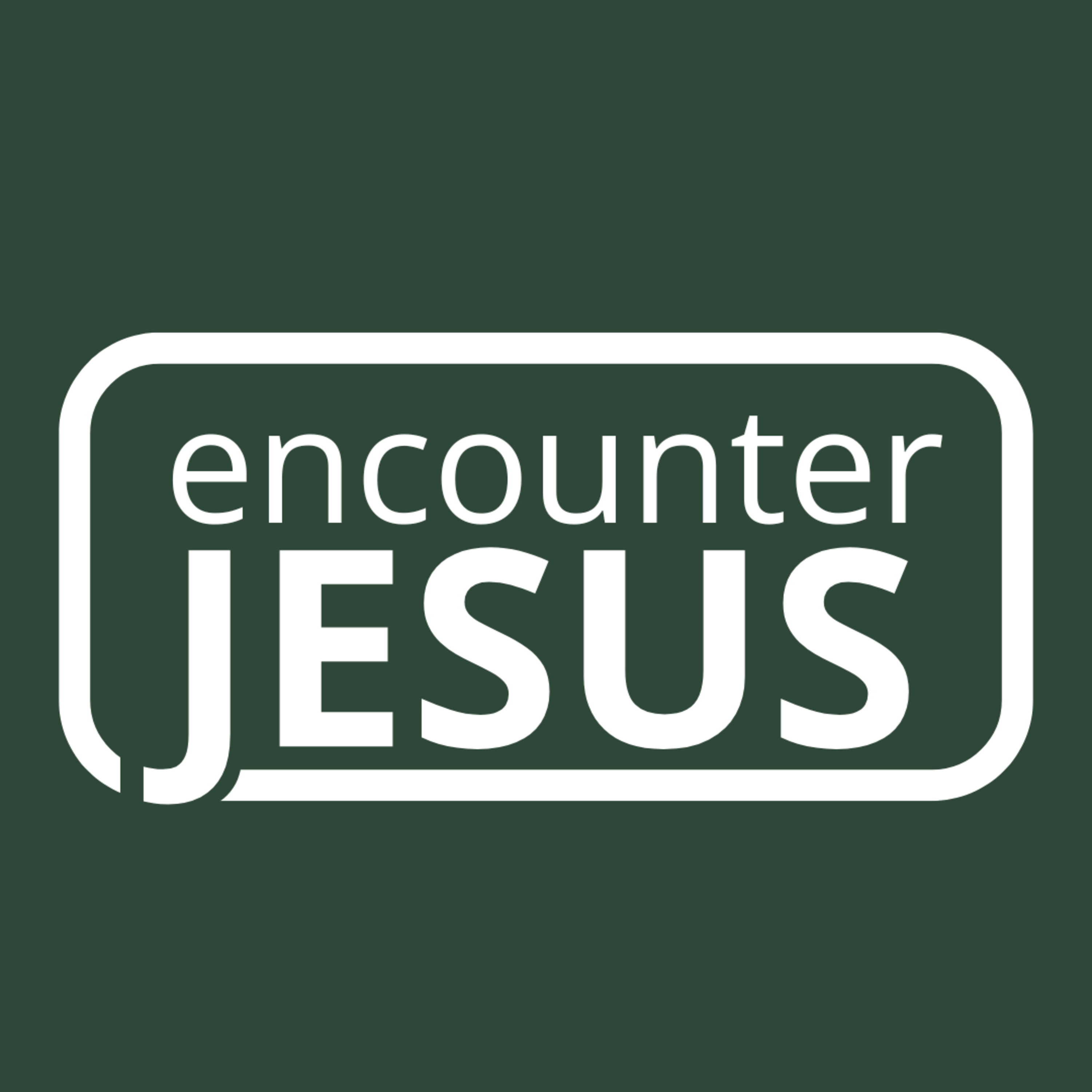 Encounter Jesus : Zacchaeus episode artwork