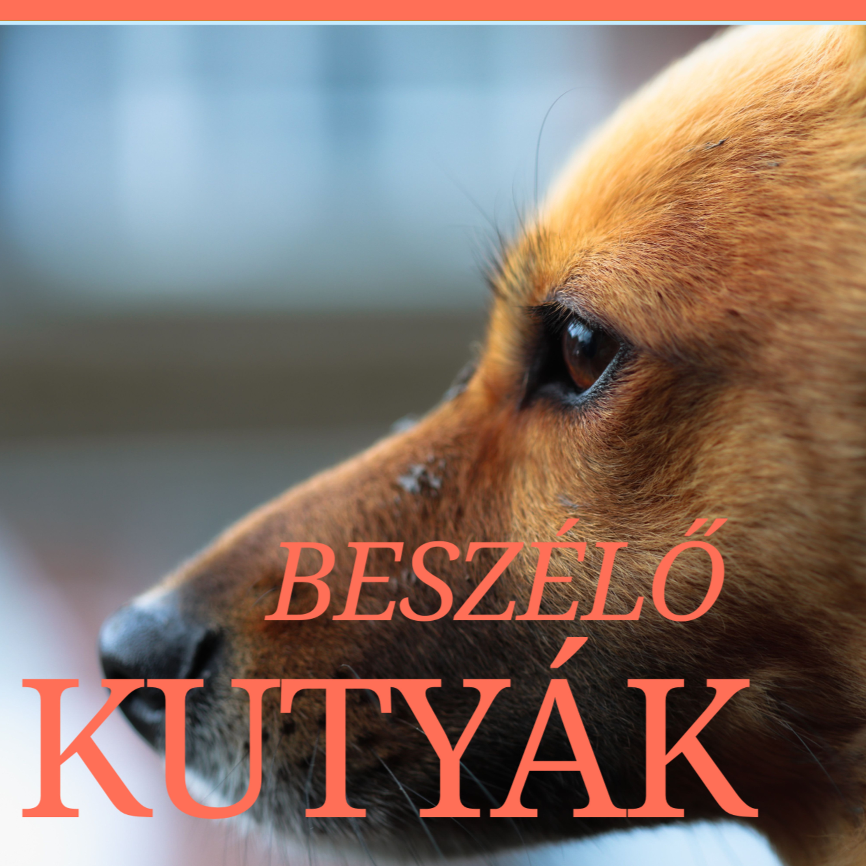 🐶 Beszélő kutyák episode artwork