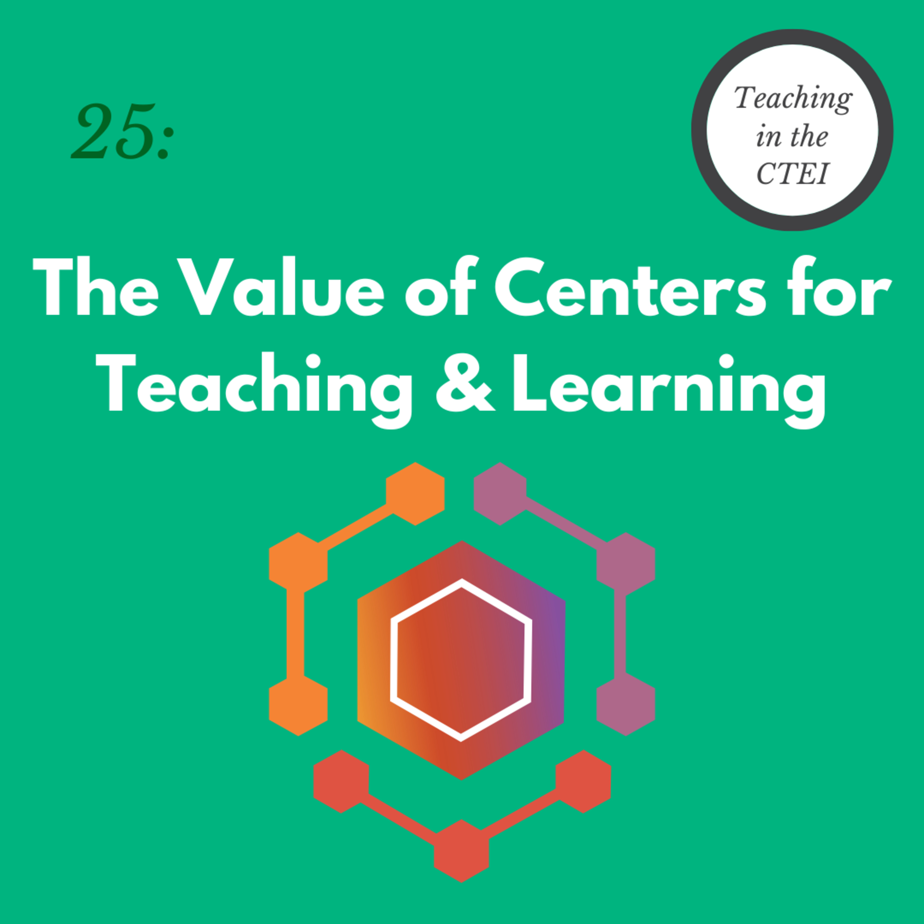 Teaching in the CTEI