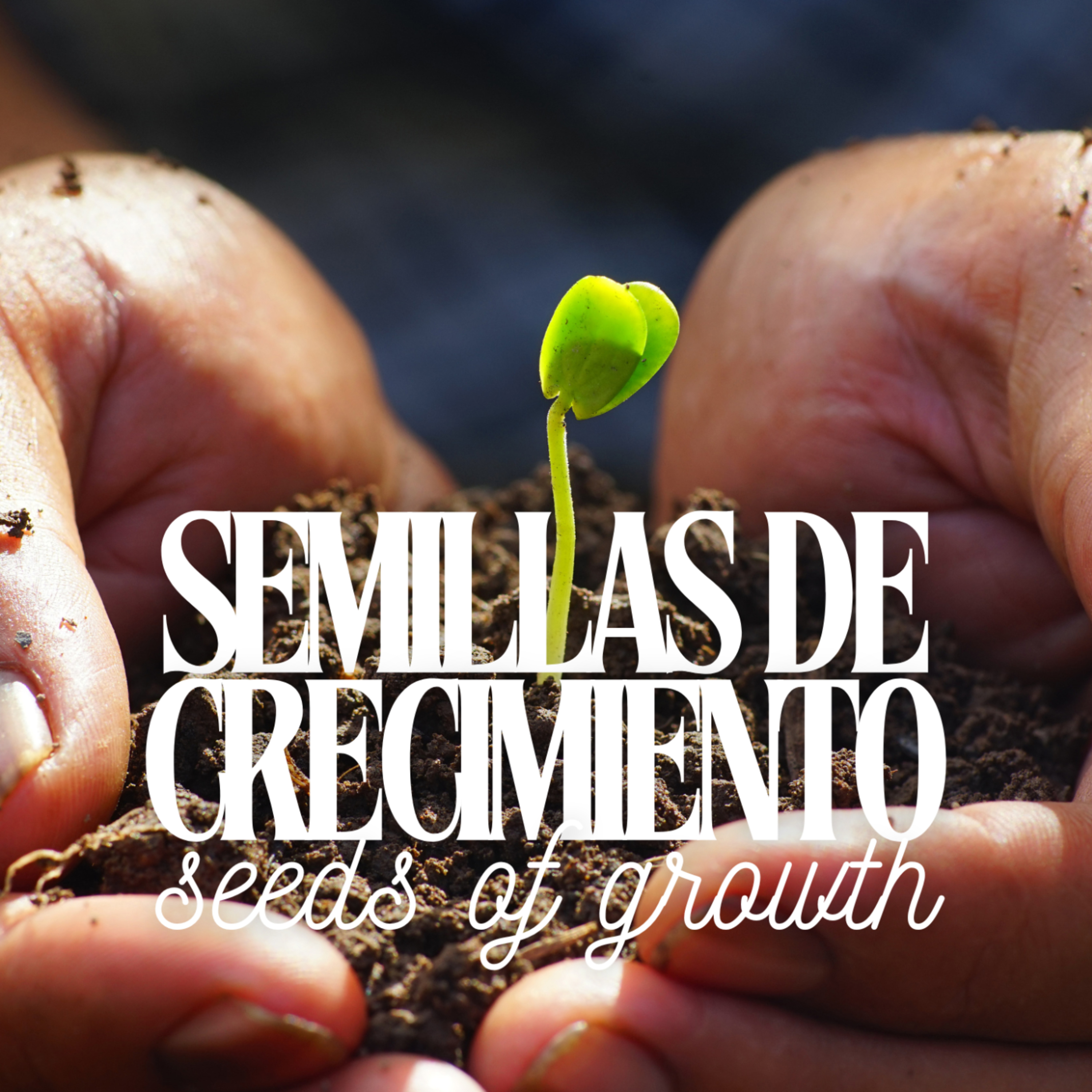 SEMILLAS DE CRECIMIENTO // Mateo - parte 25 episode artwork