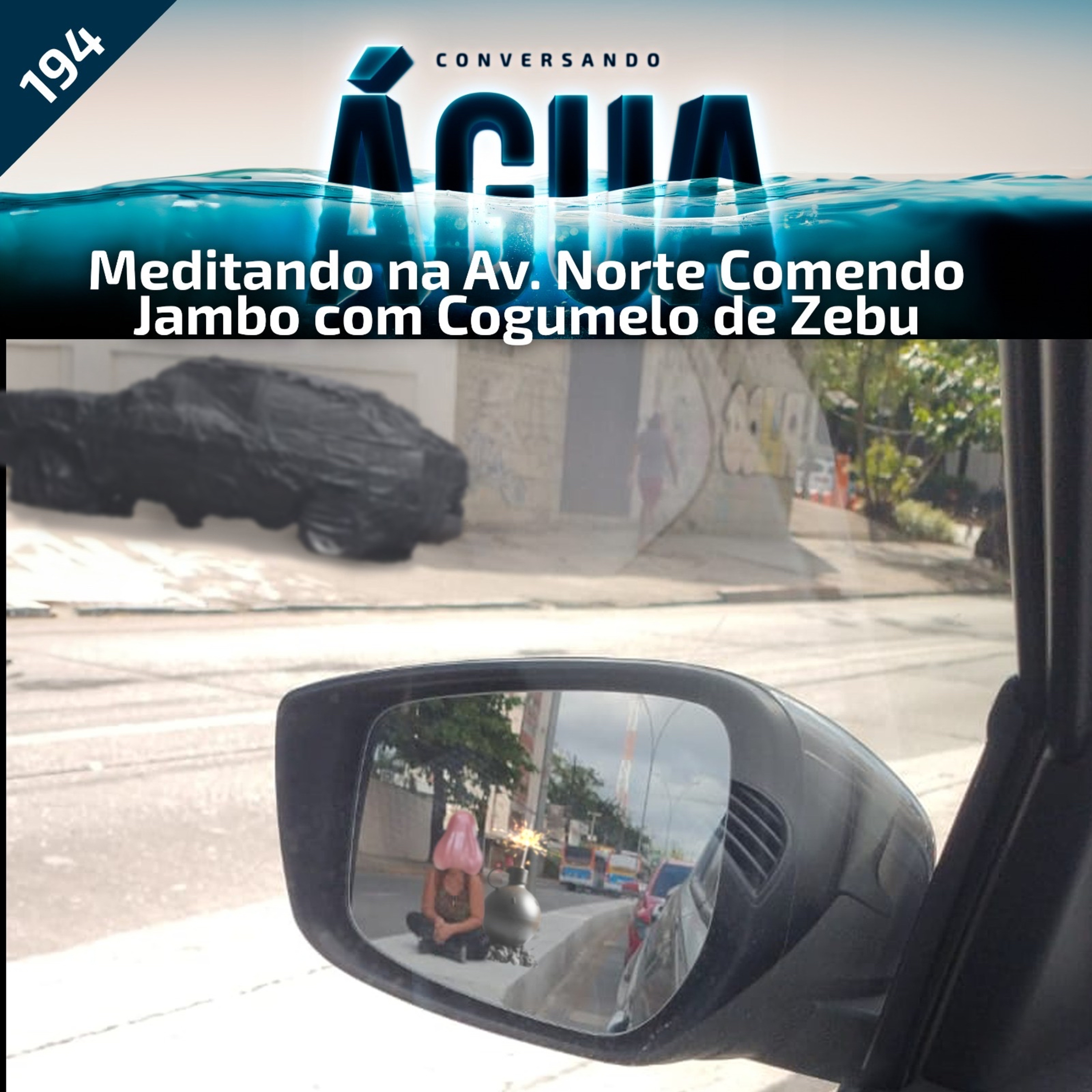Conversando Água