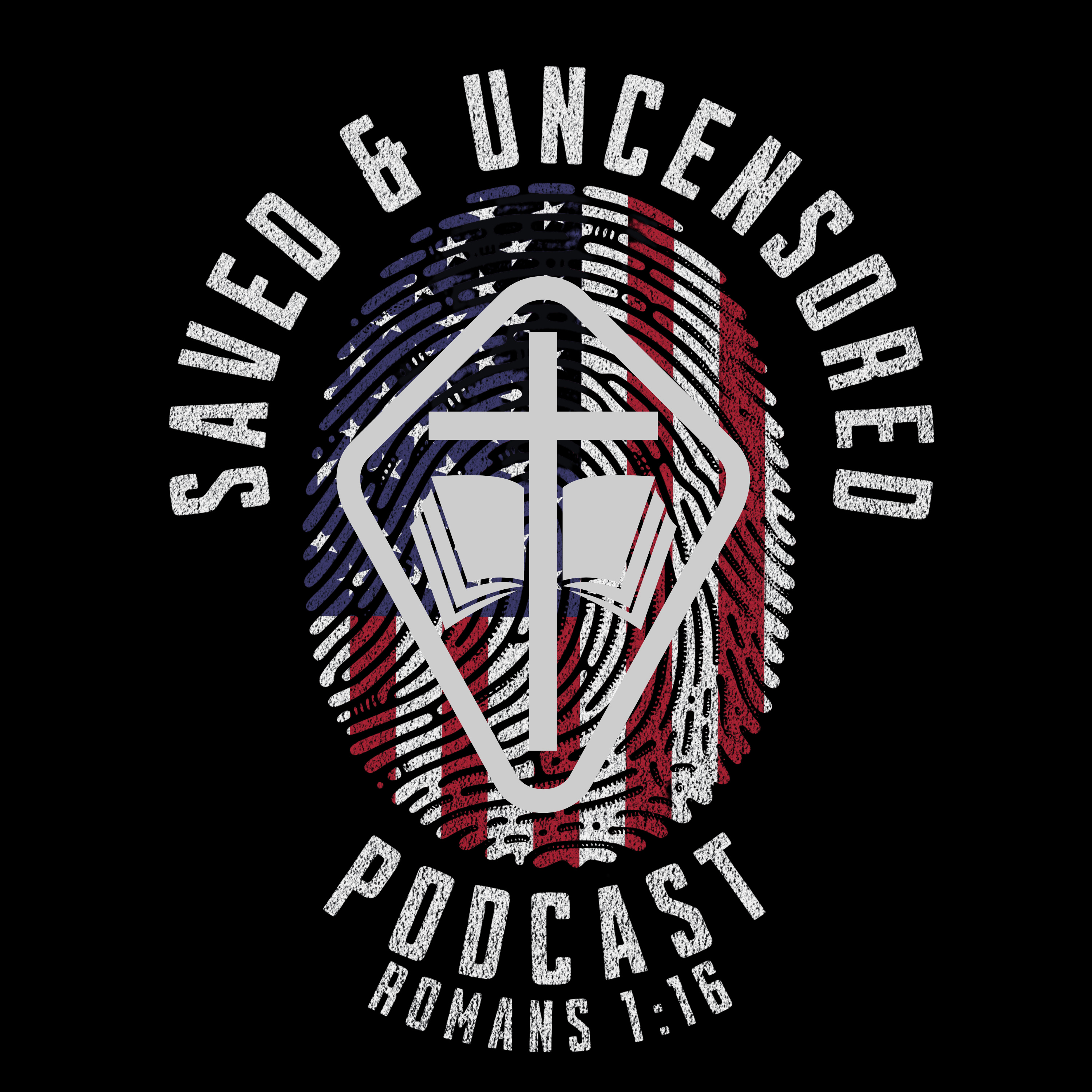 PURSUING BIBLICAL PURITY  episode artwork