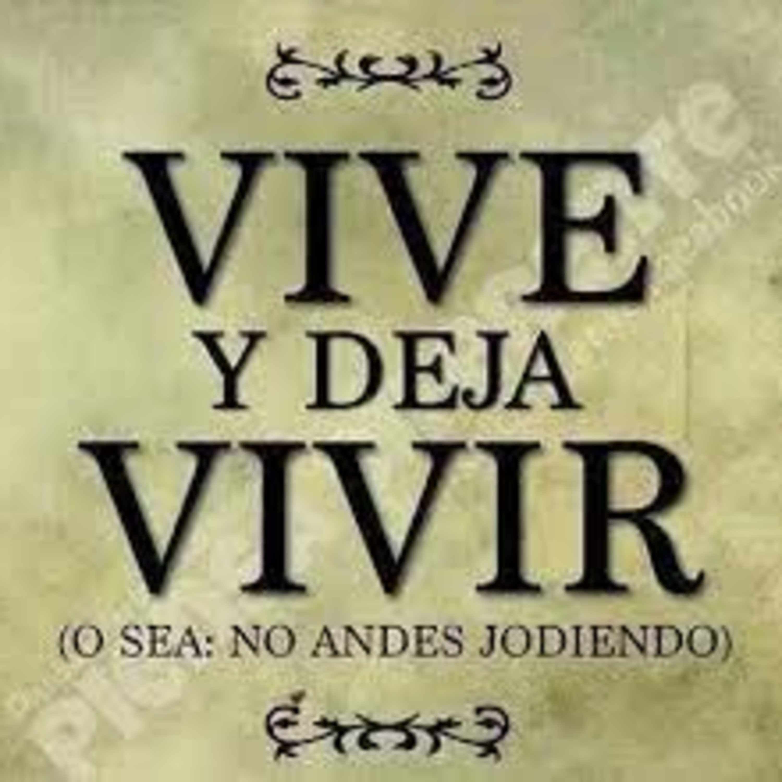 SADA RELFEXION VIVE Y DEJA VIVIR episode artwork