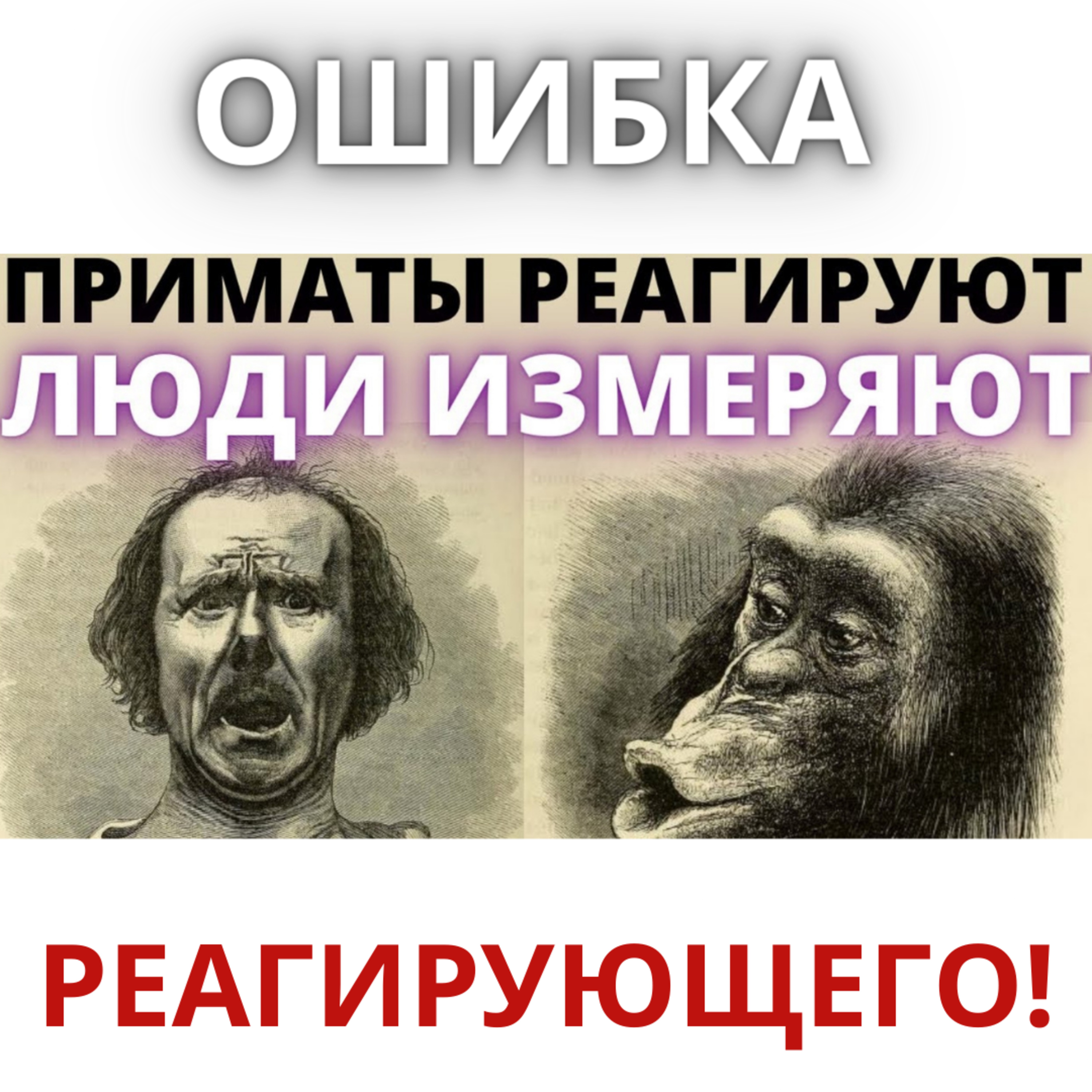 ешение проблем создаёт больше проблем — Ошибка реагирующего. Как принимают решения люди и приматы.