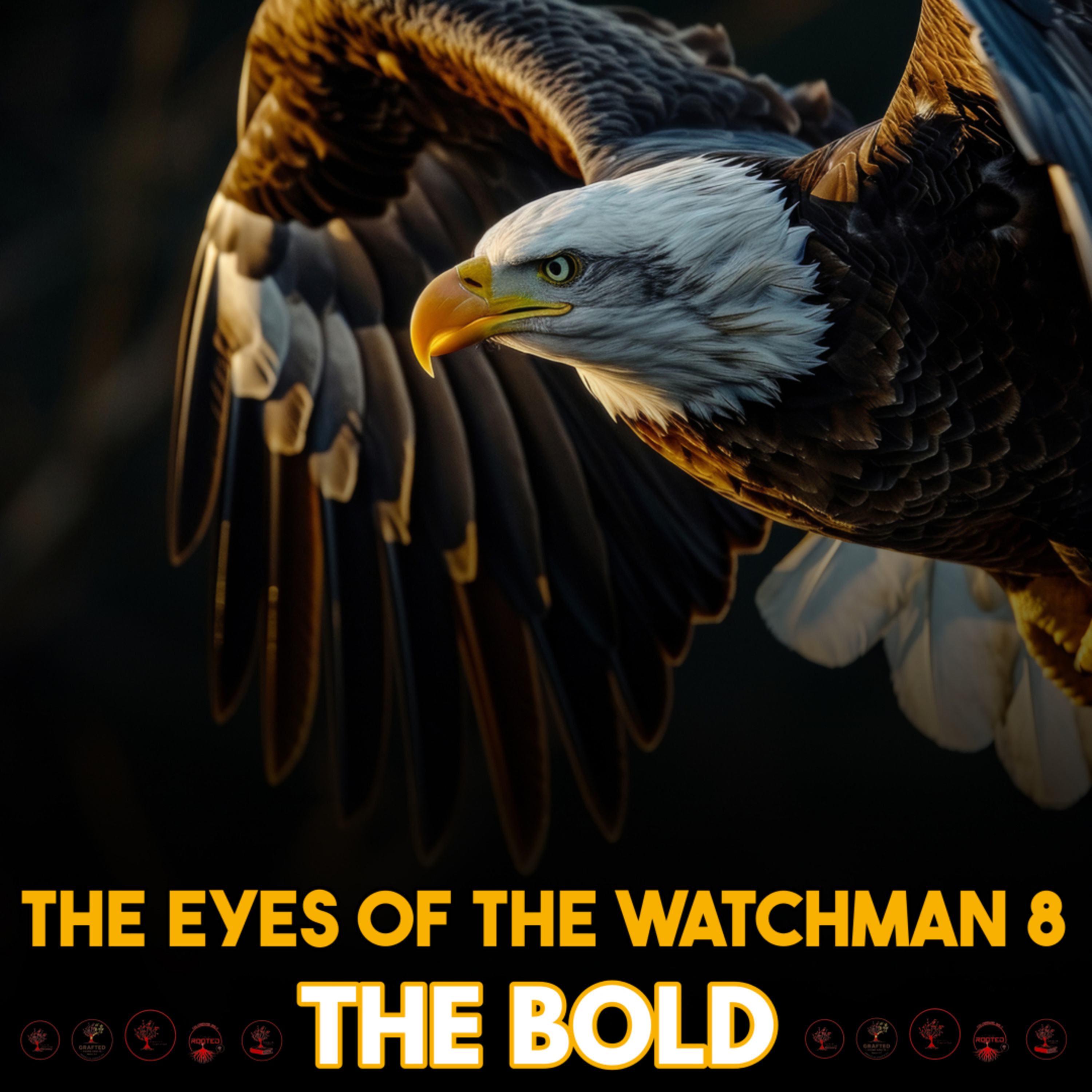 The Eye of the Watchman 8 The Bold episode artwork