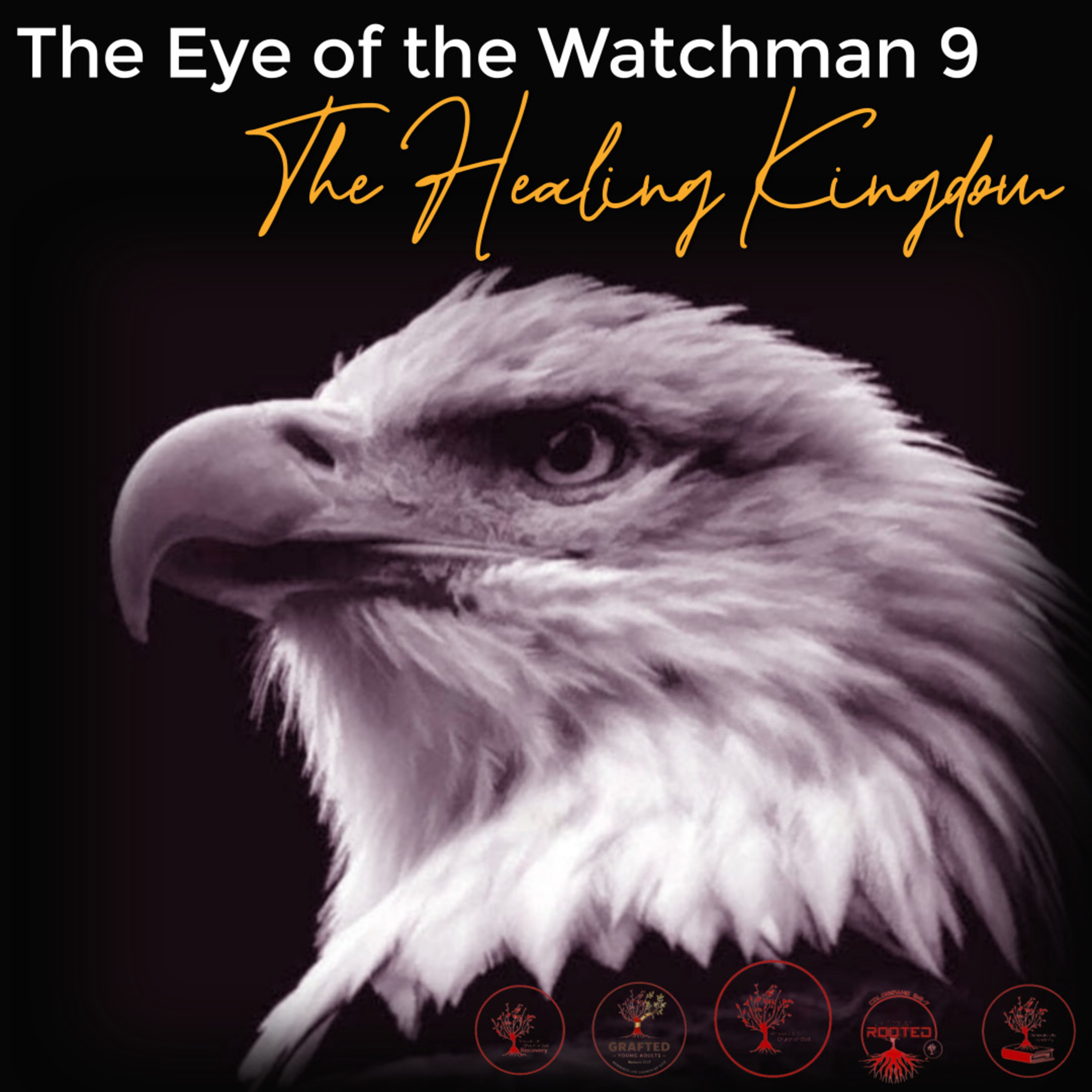 The Eye of the Watchman 9 The Healing Kingdom episode artwork