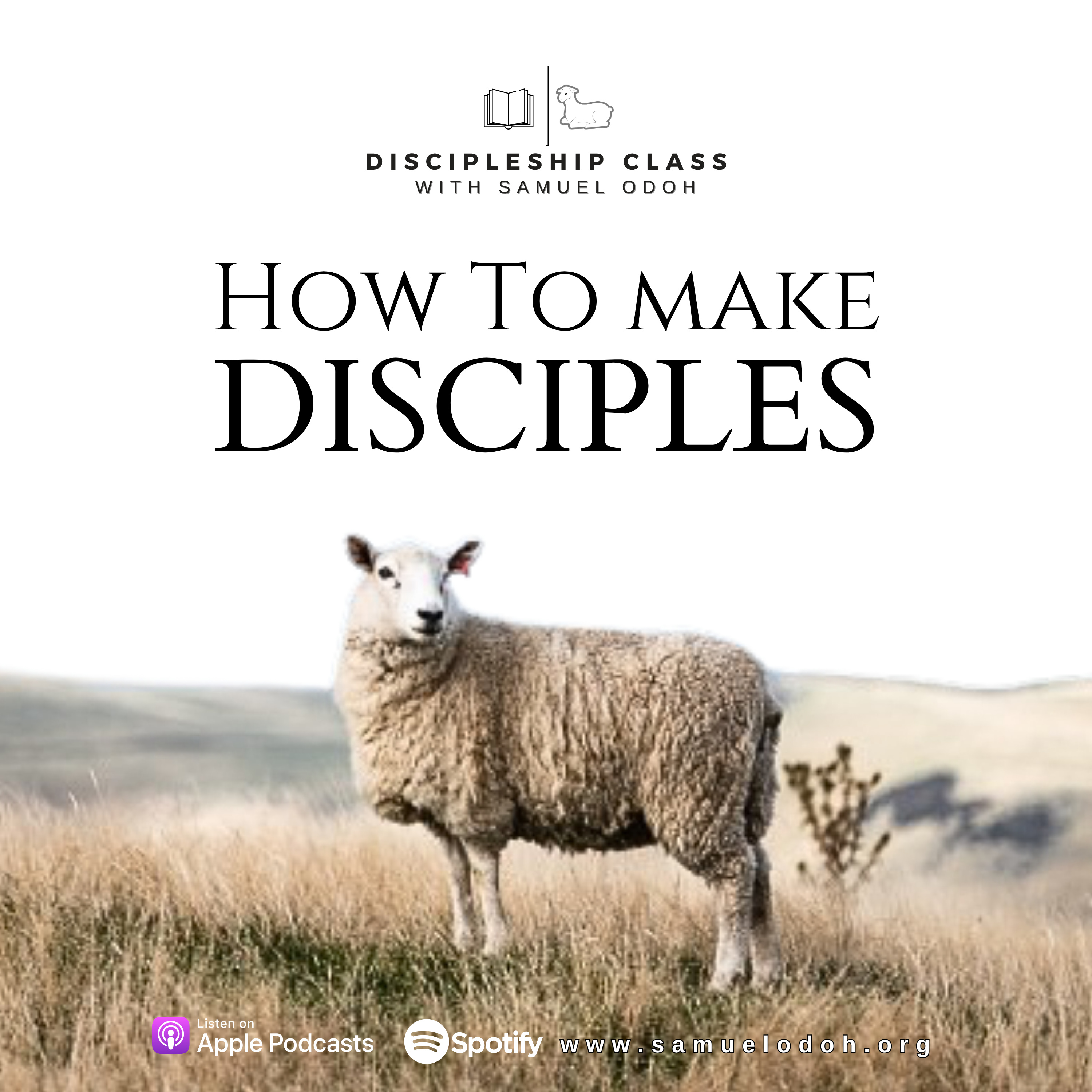 How to Make Disciples Pt. 2 episode artwork