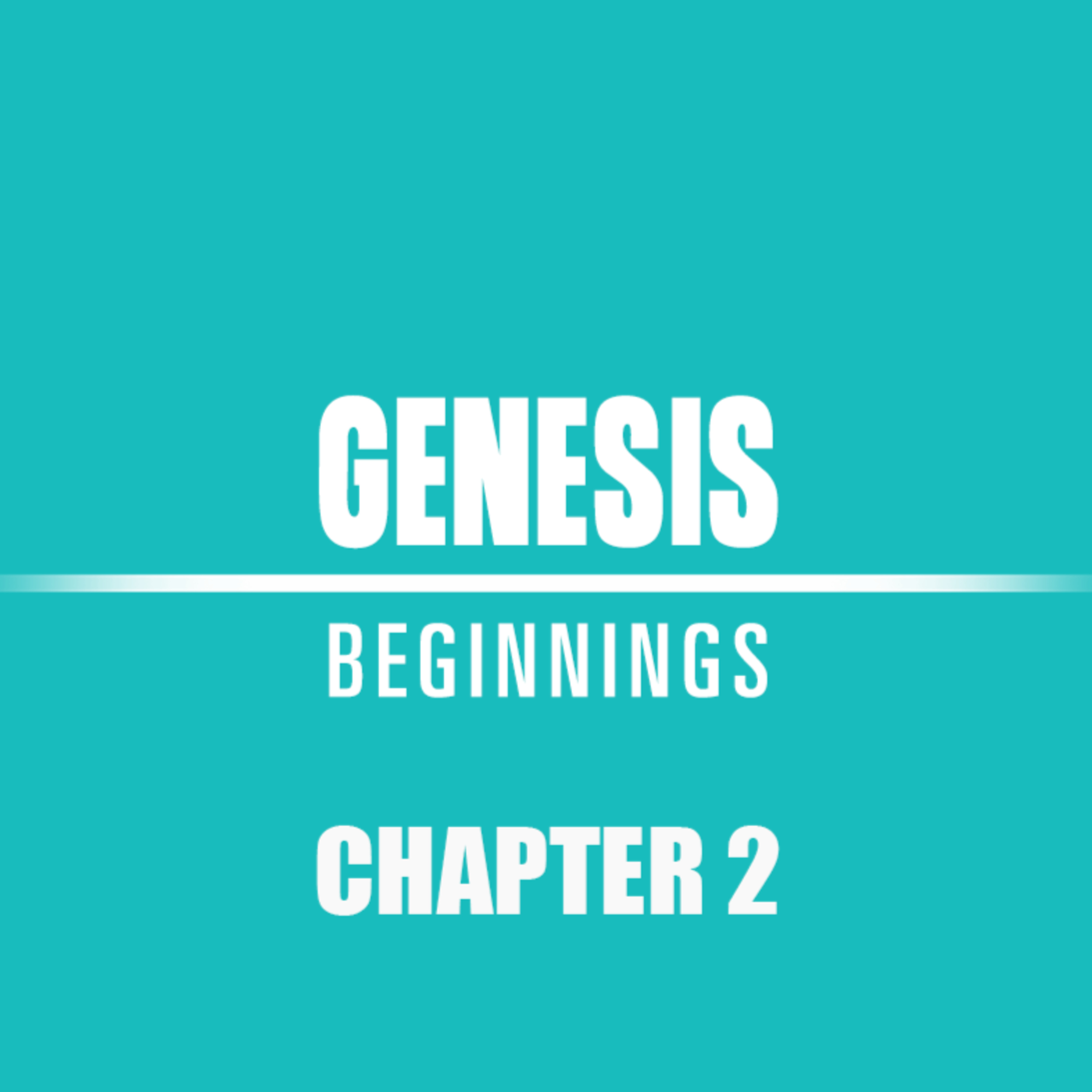 Genesis 2 episode artwork
