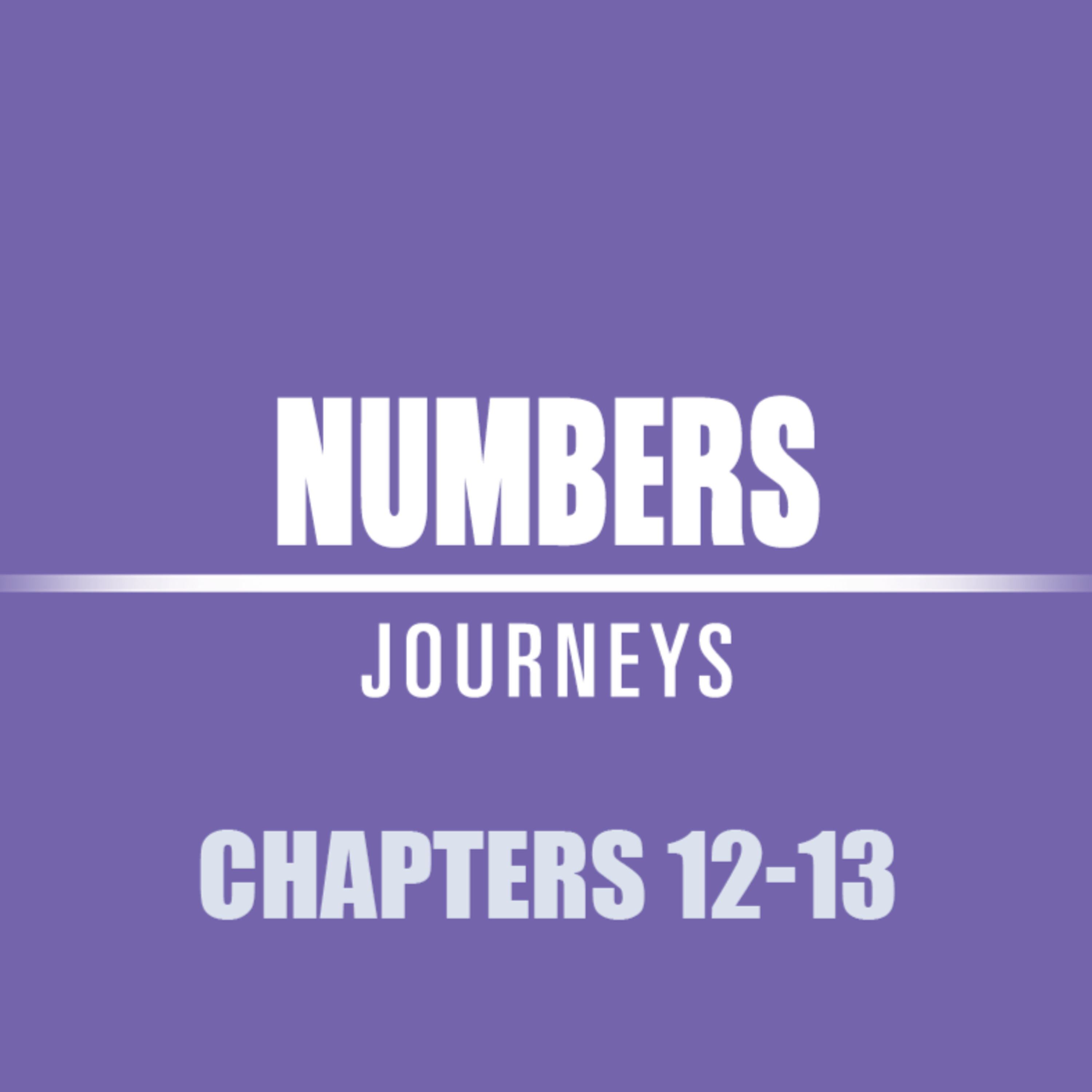 Numbers 12 - 13 episode artwork