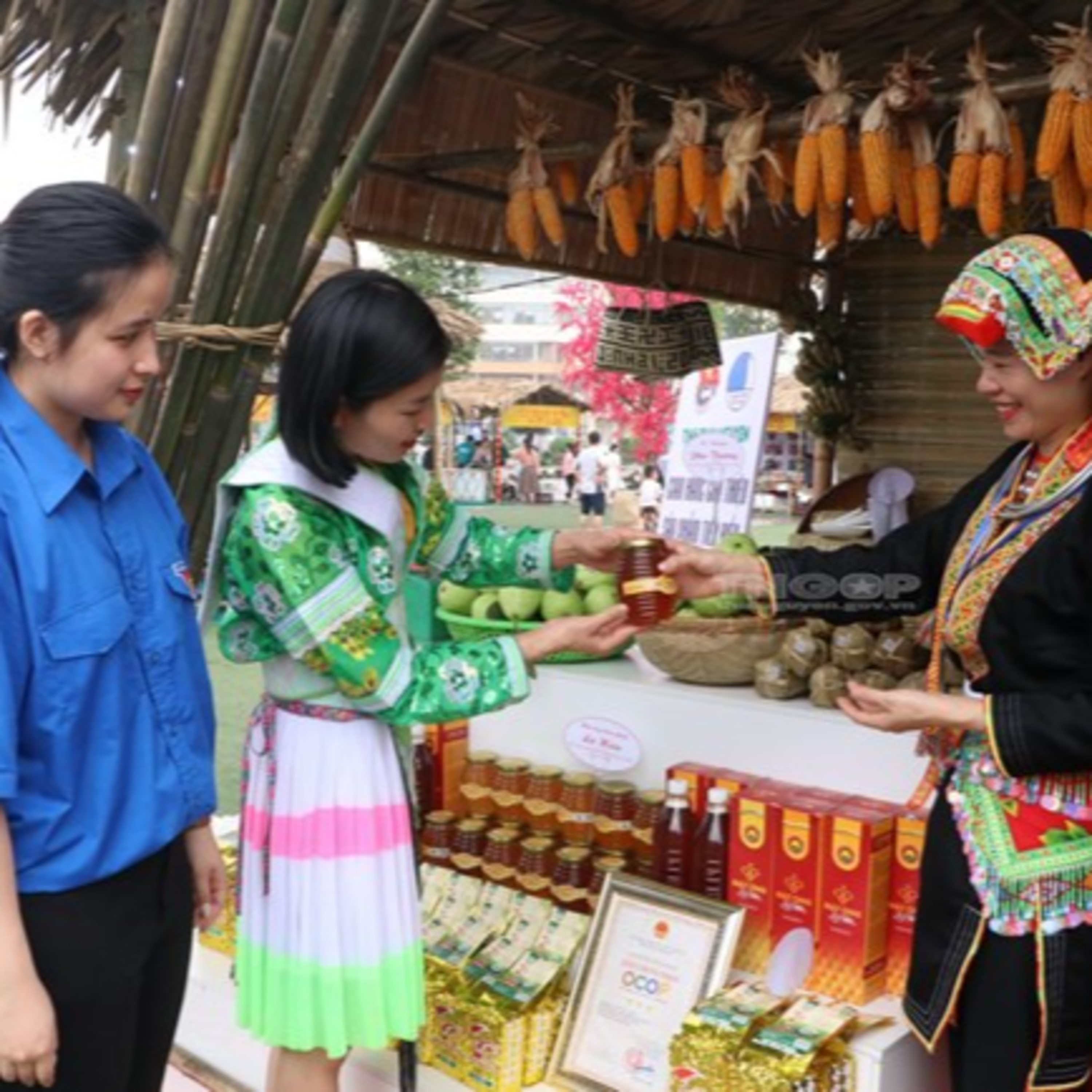 Dòng chảy kinh tế - Đẩy mạnh tiêu thụ nông sản miền núi trên sàn thương mại điện tử  episode artwork