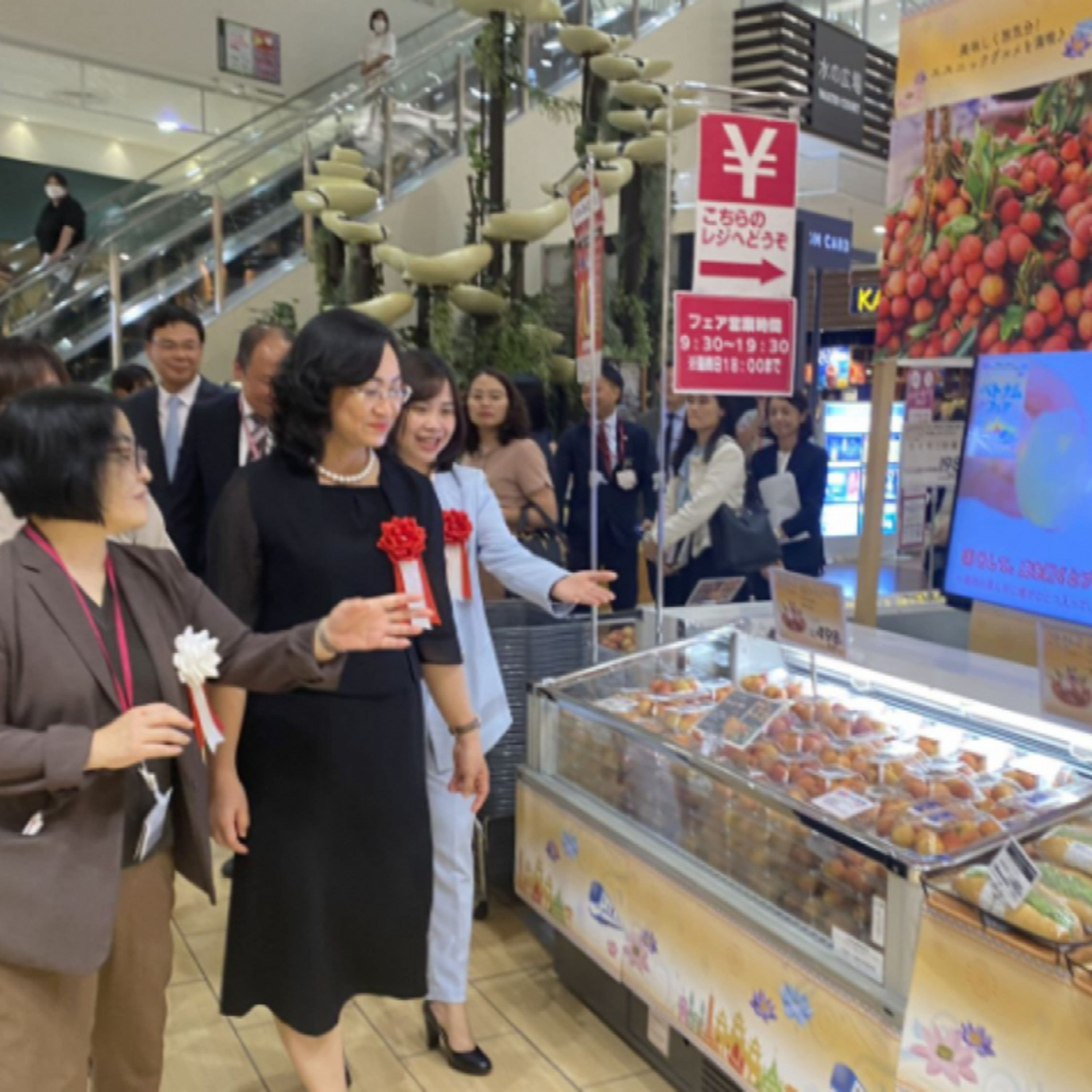 Sức sống hàng Việt - Khai mạc Tuần lễ hàng Việt Nam tại hệ thống AEON Nhật Bản và các nước thuộc khu vực châu Á, kết nối episode artwork