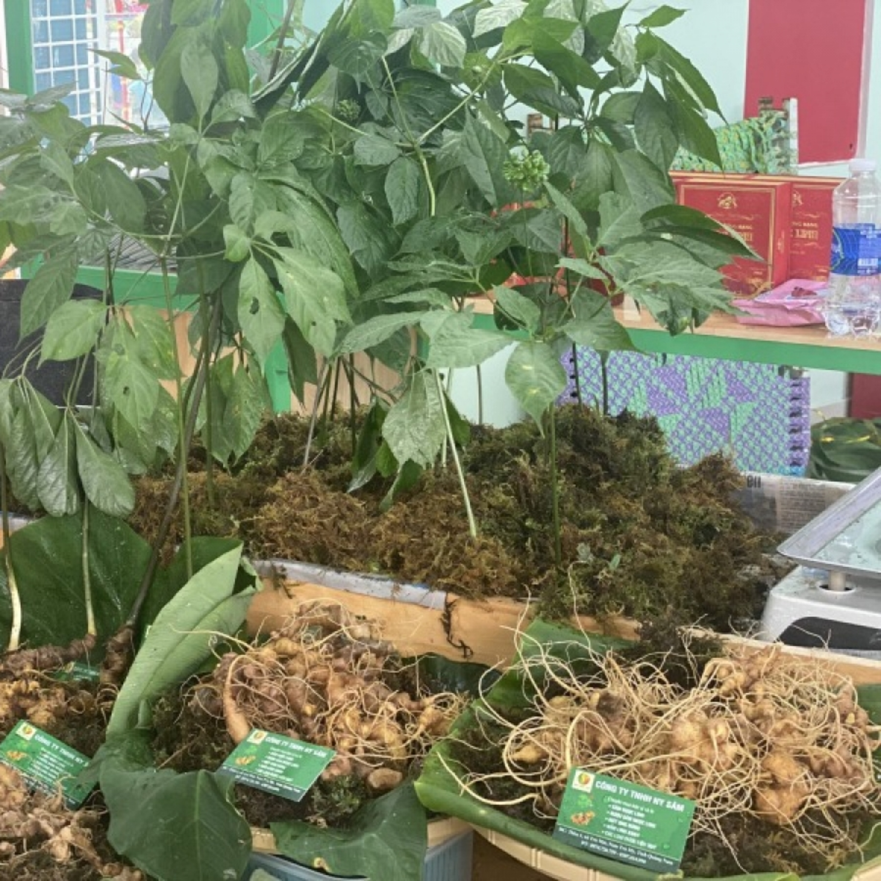 VOV - Kinh tế Tài chính